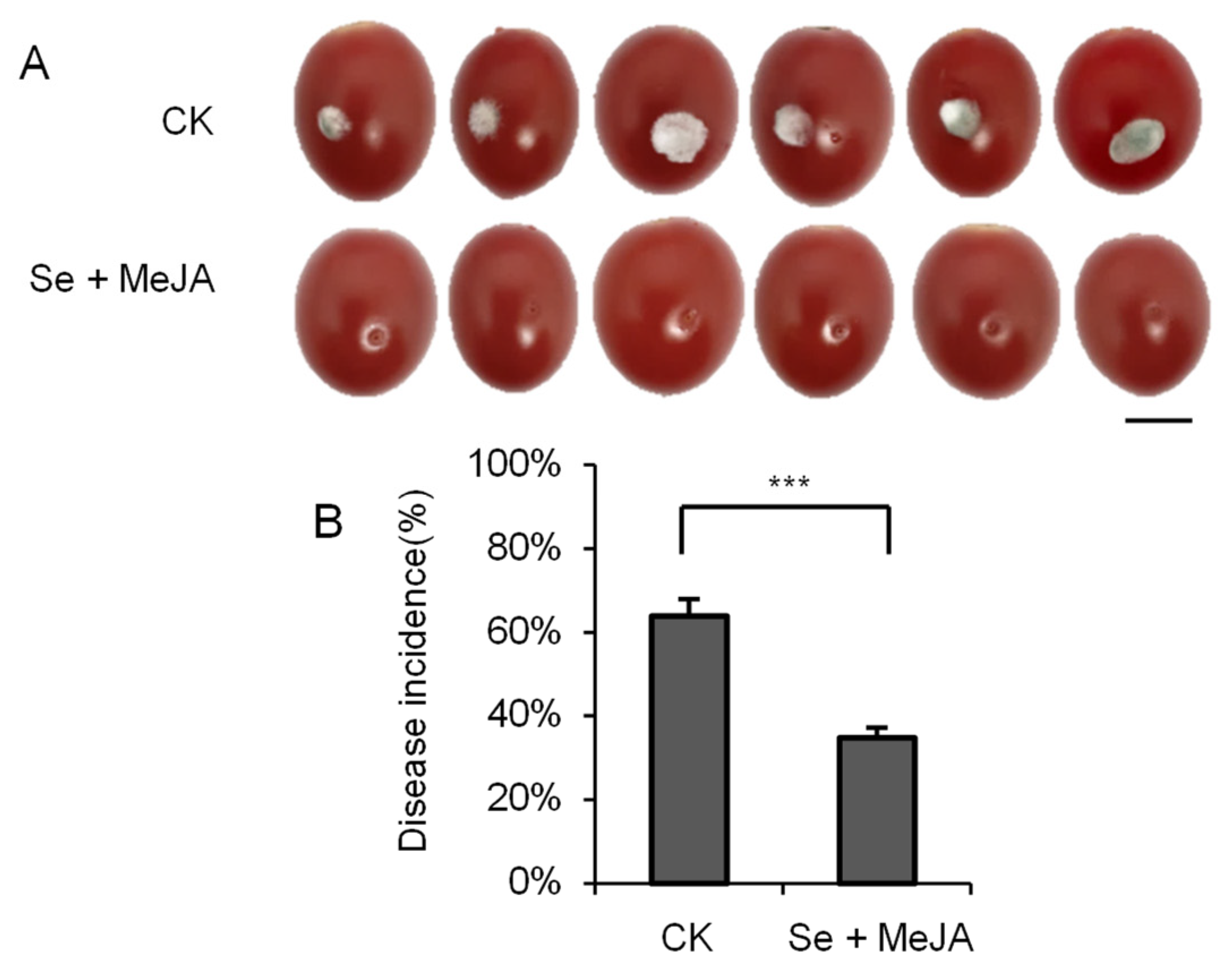 Horticulturae 08 00782 g007