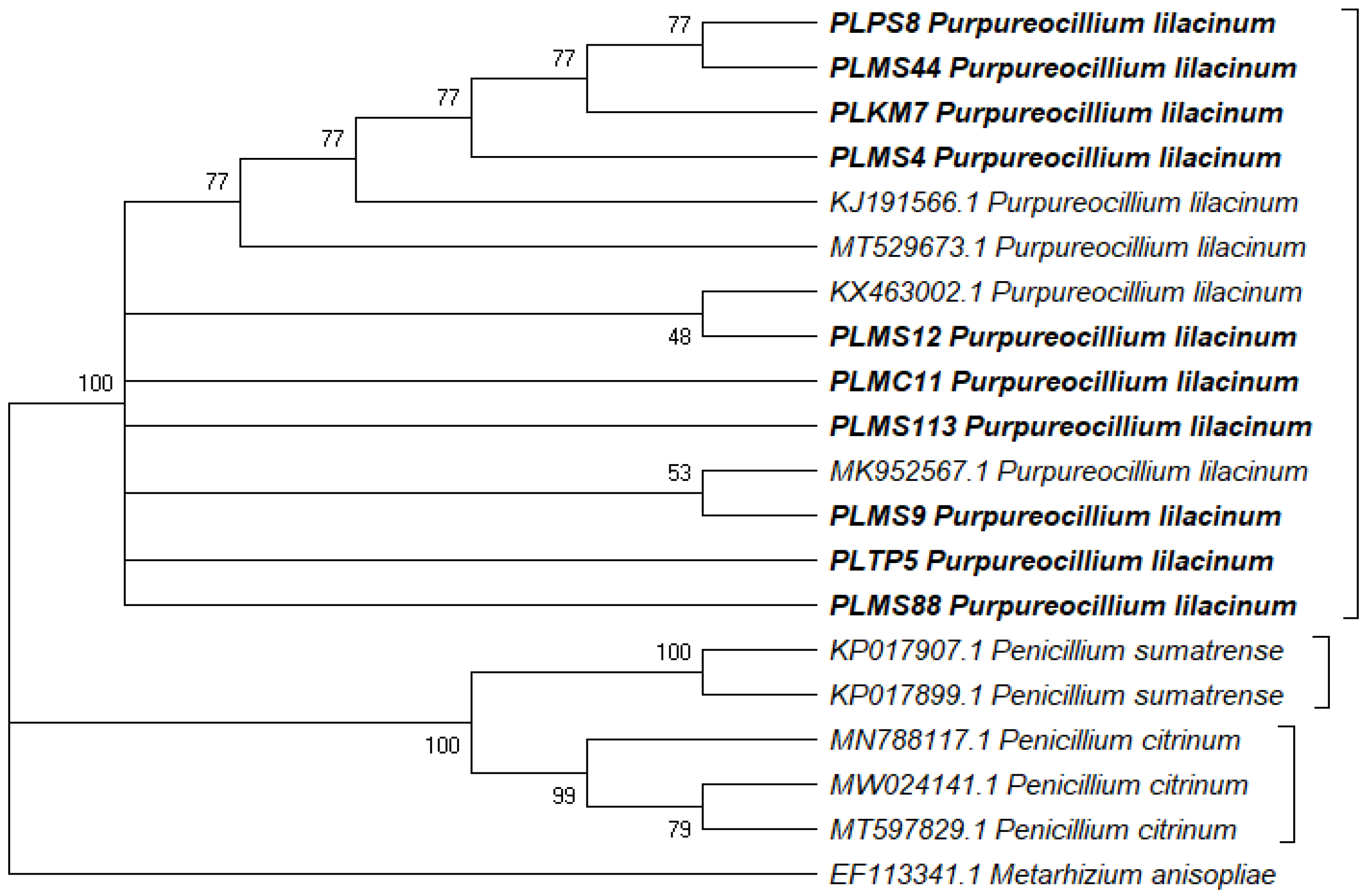 Horticulturae 08 00808 g003