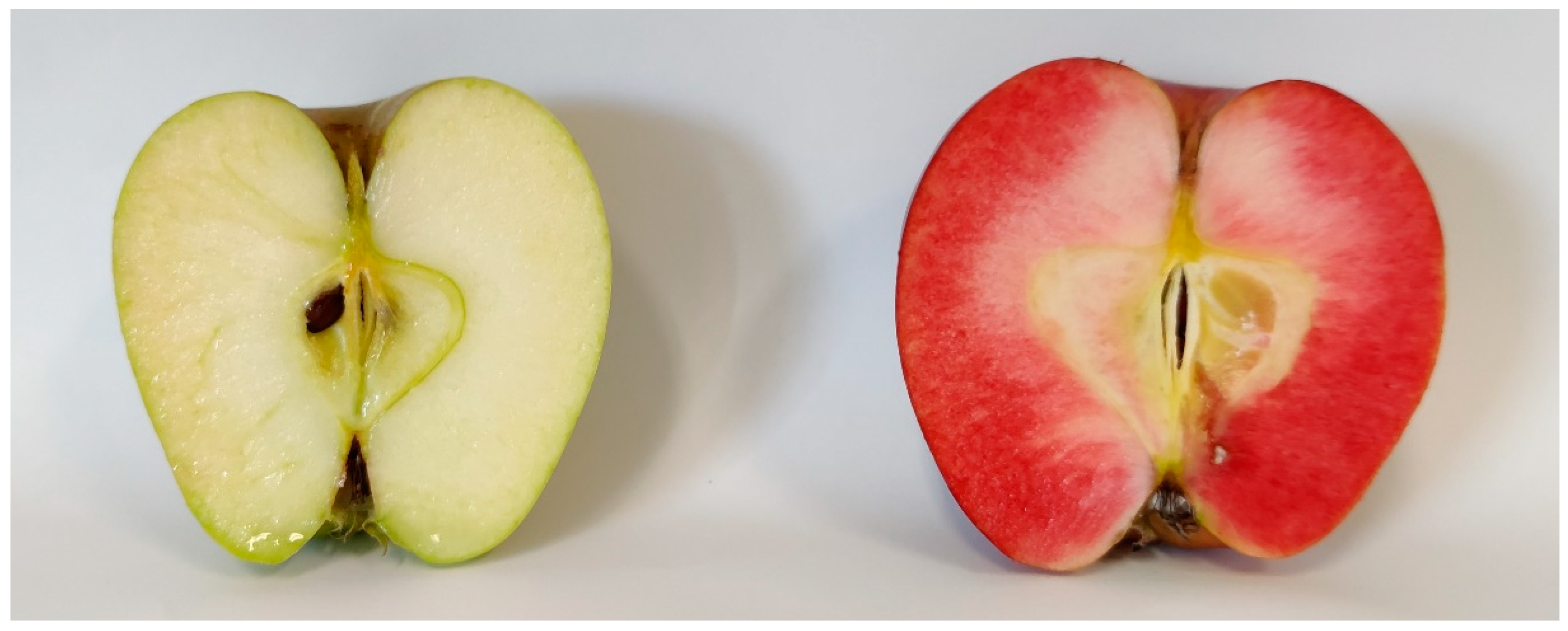 Horticulturae 08 00811 g001