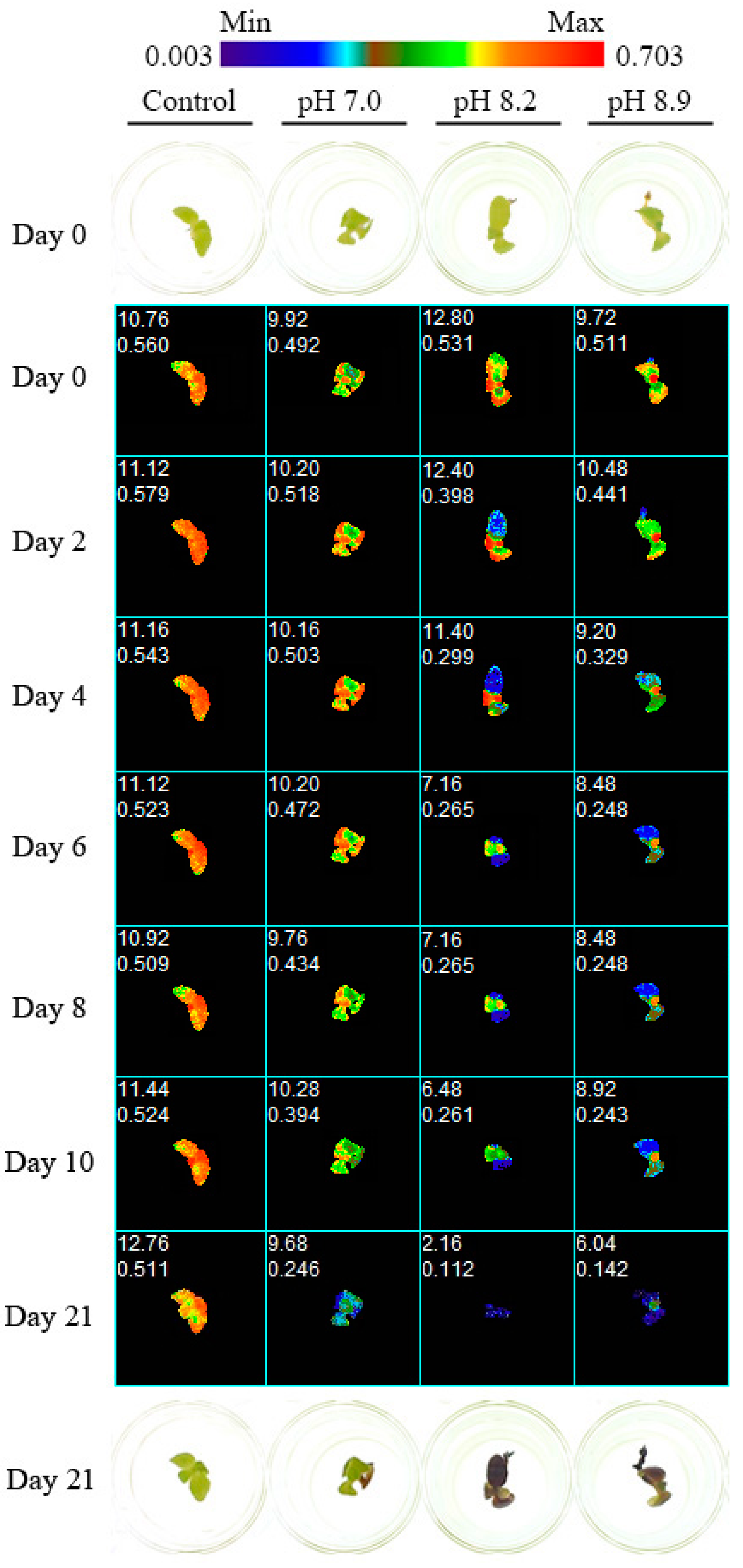 Horticulturae 08 00823 g001