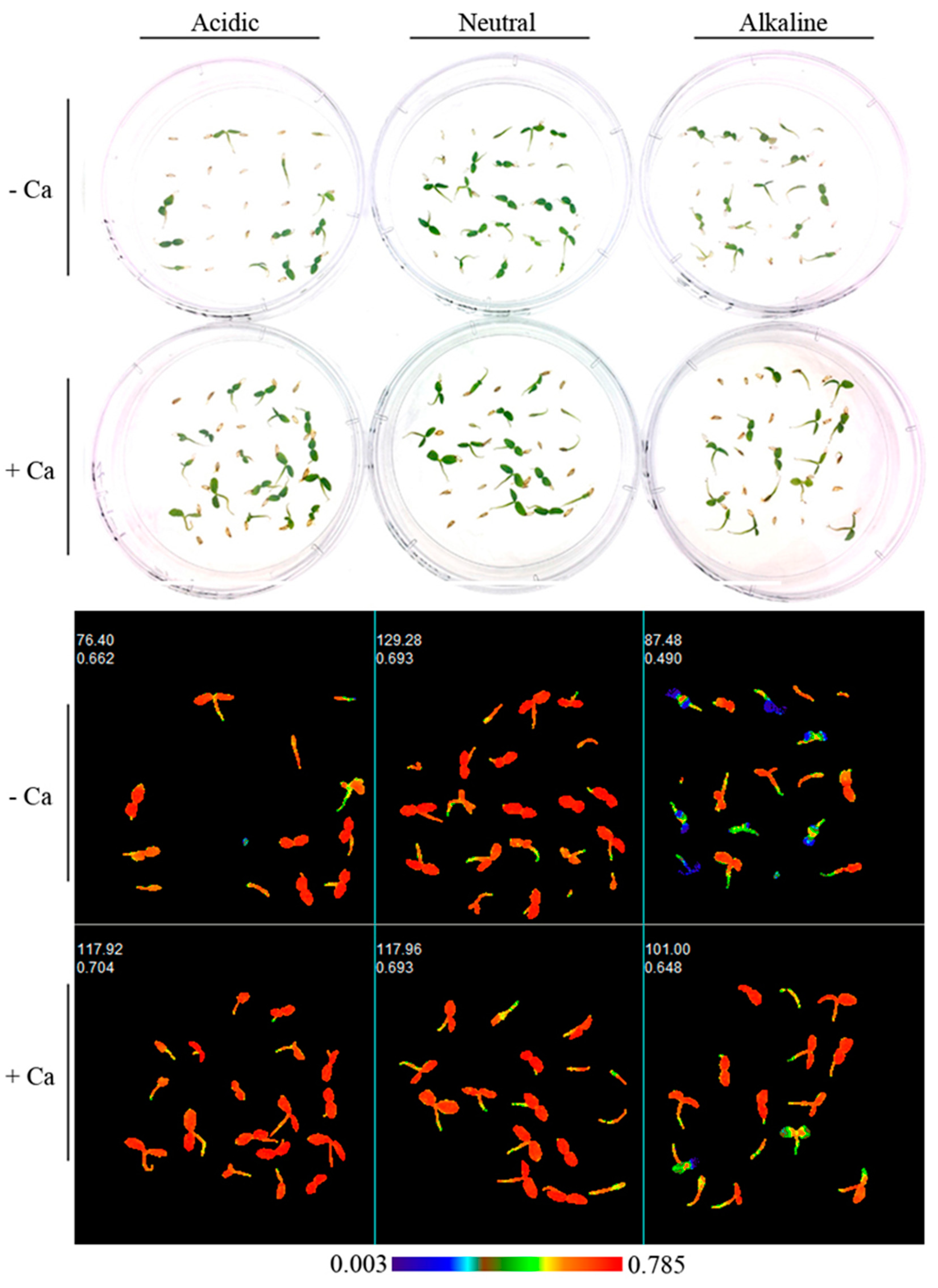 Horticulturae 08 00823 g006