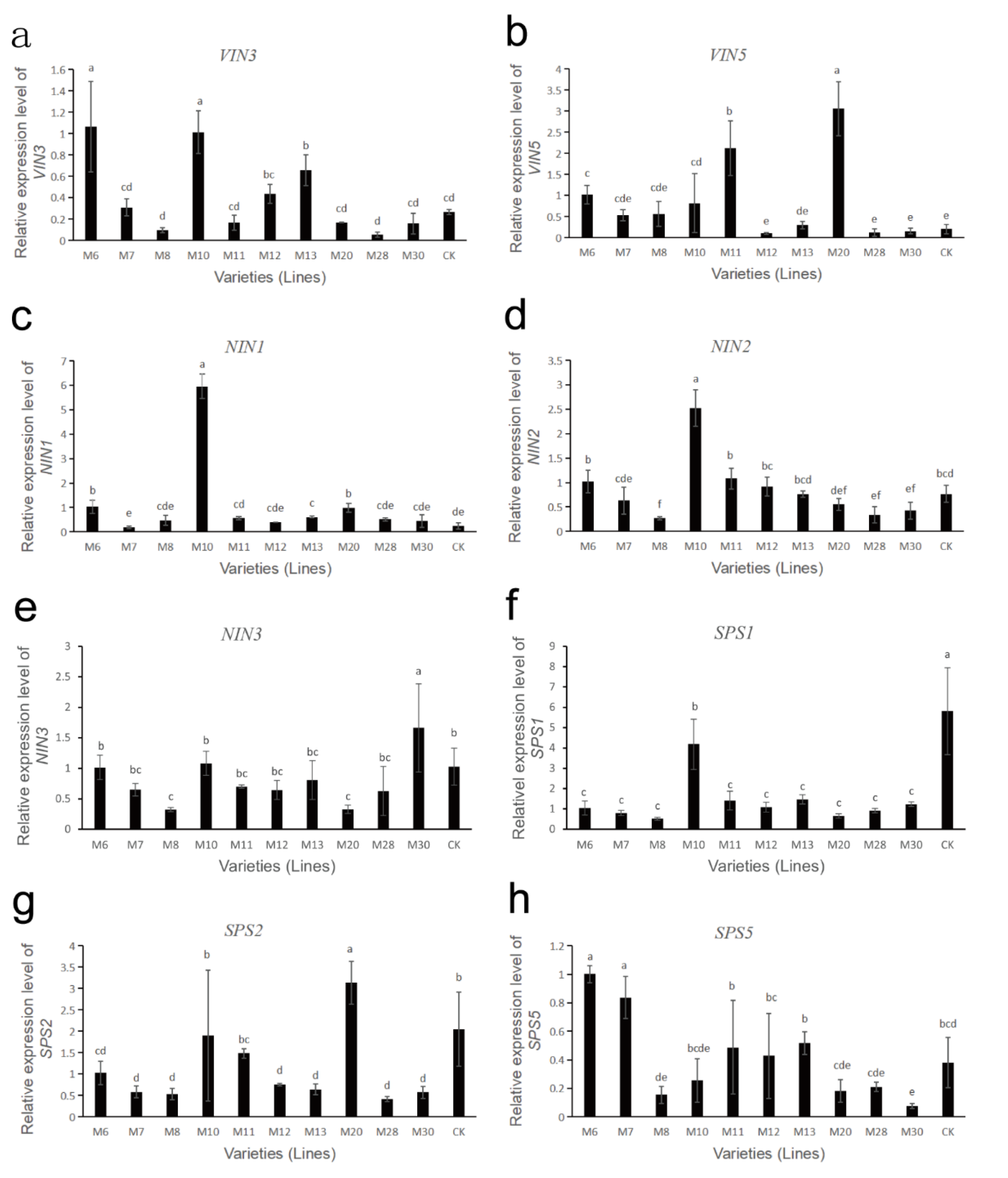 Horticulturae 08 00824 g006
