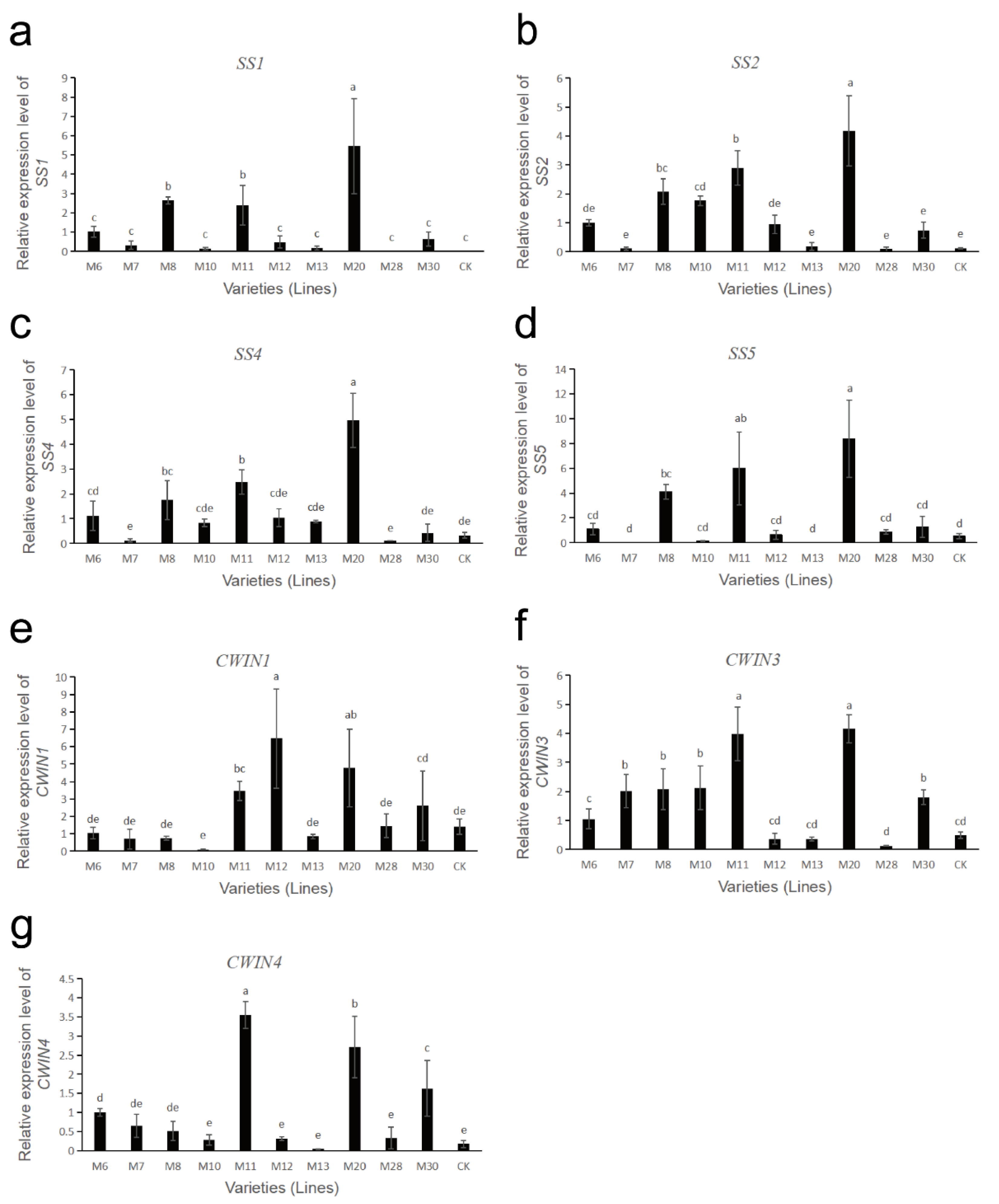 Horticulturae 08 00824 g007