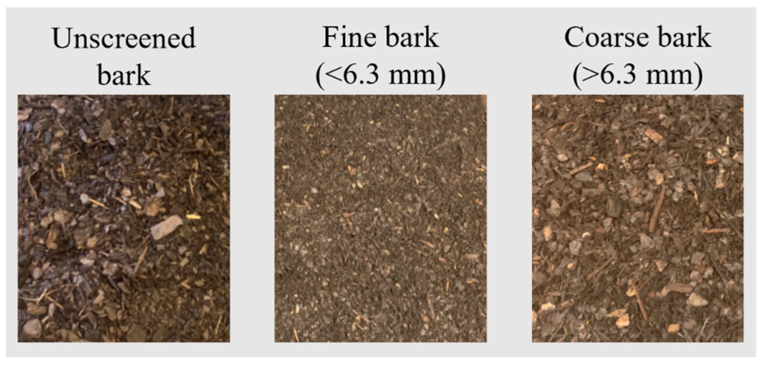 Horticulturae 08 00826 g001