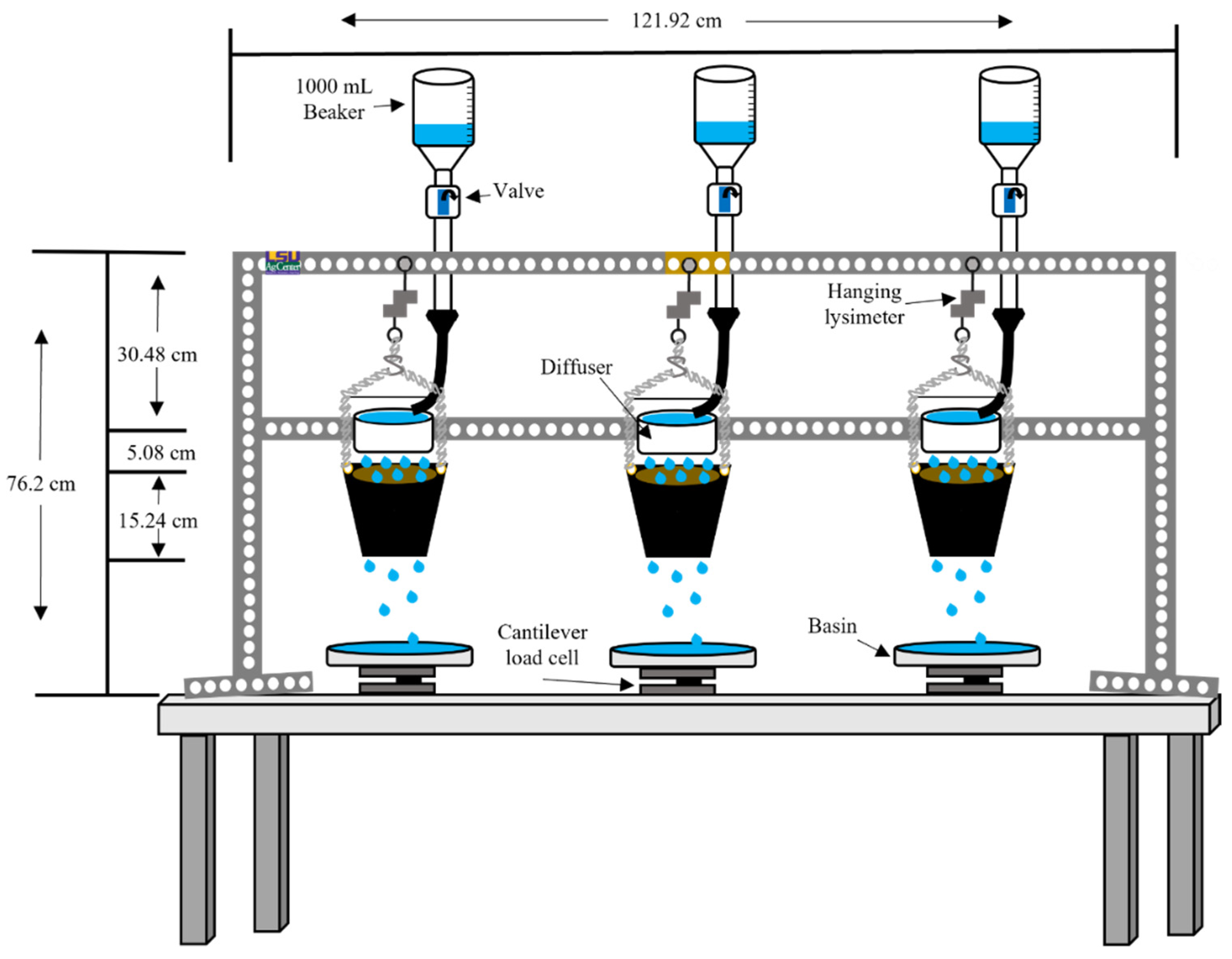 Horticulturae 08 00826 g002