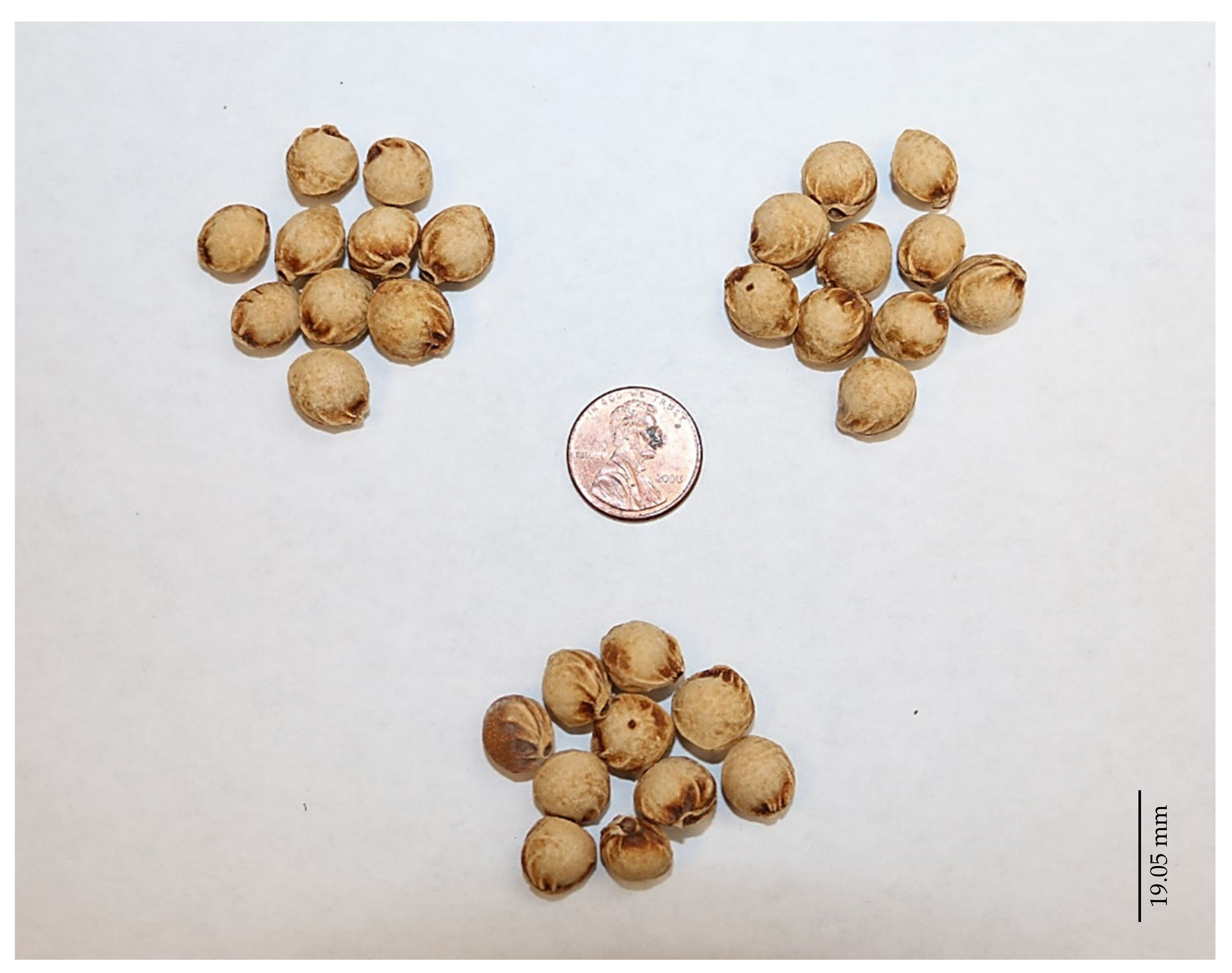 Horticulturae 08 00838 g003 Horticulturae 08 00838 g003