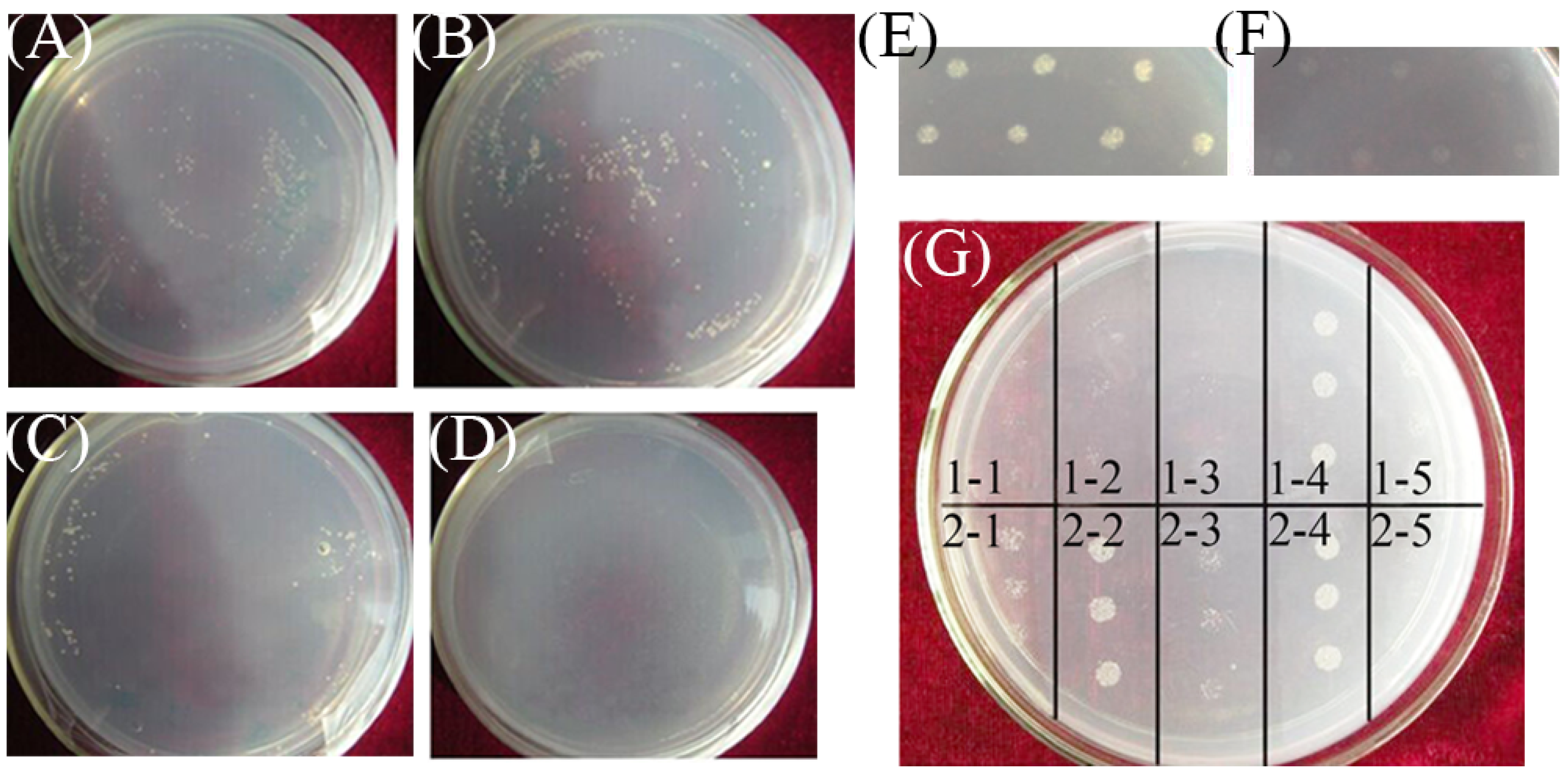 Horticulturae 08 00853 g002