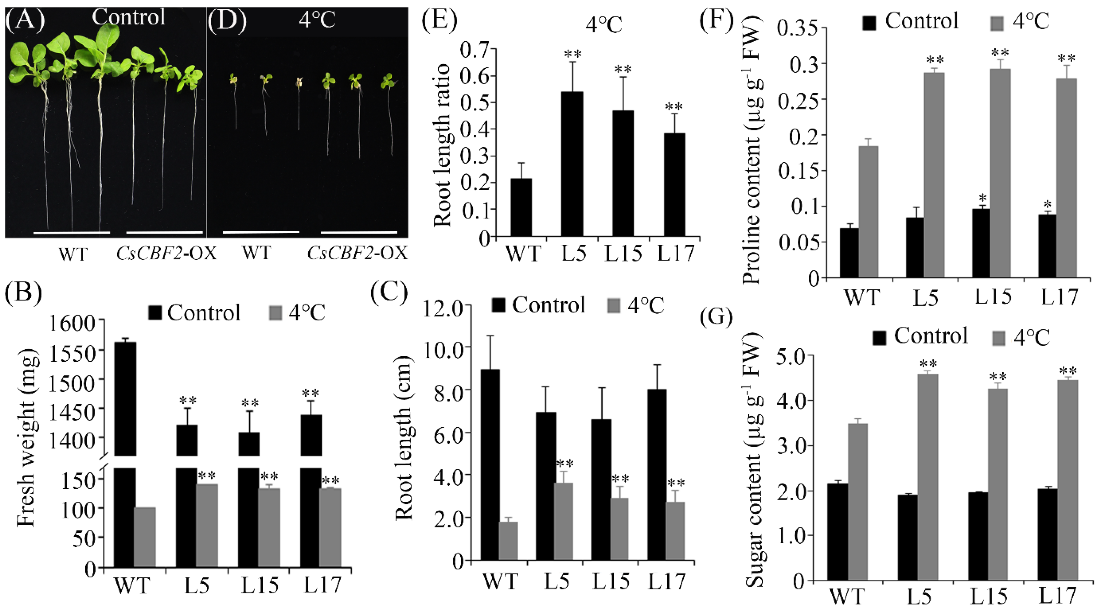 Horticulturae 08 00853 g005