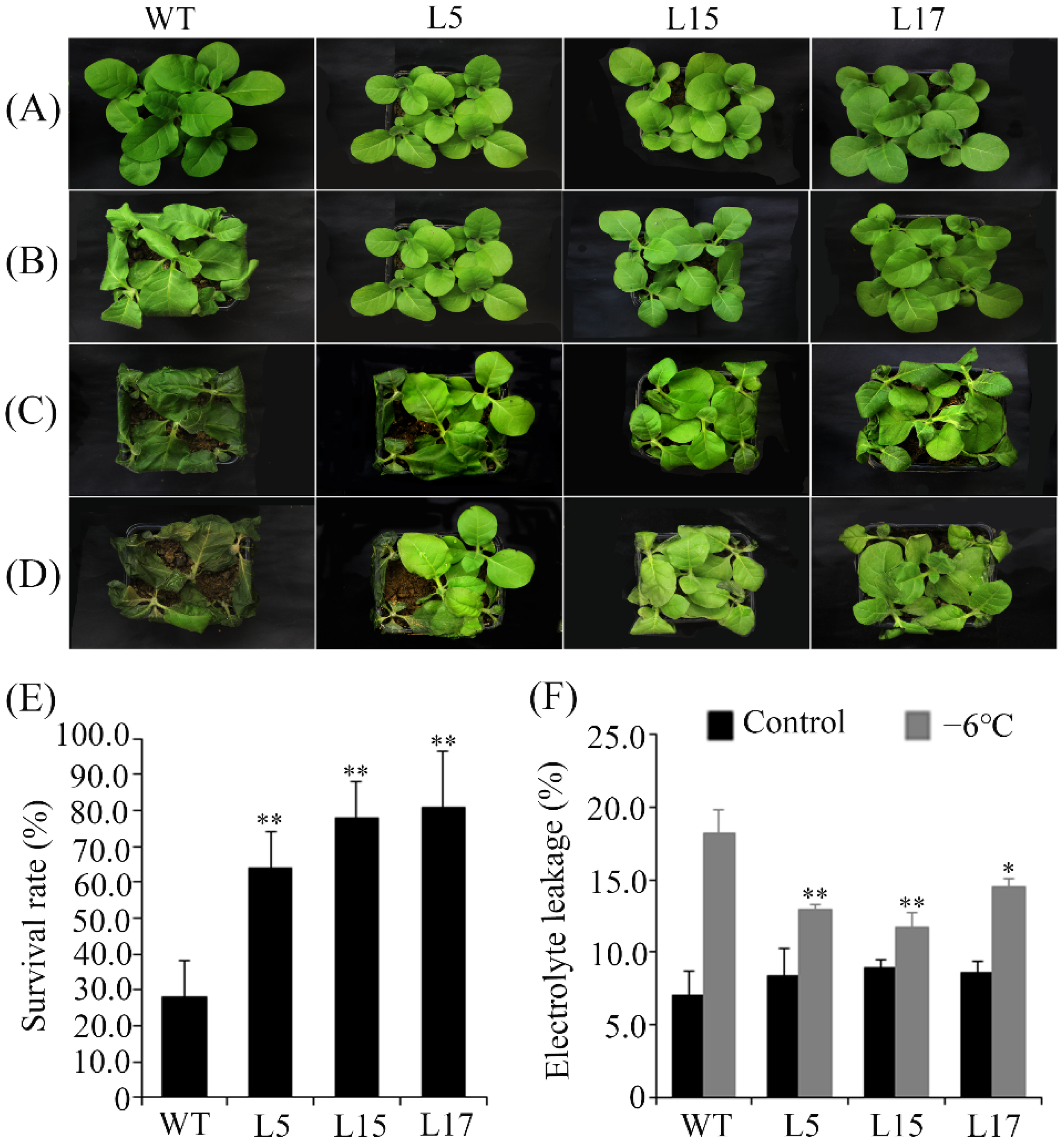 Horticulturae 08 00853 g006
