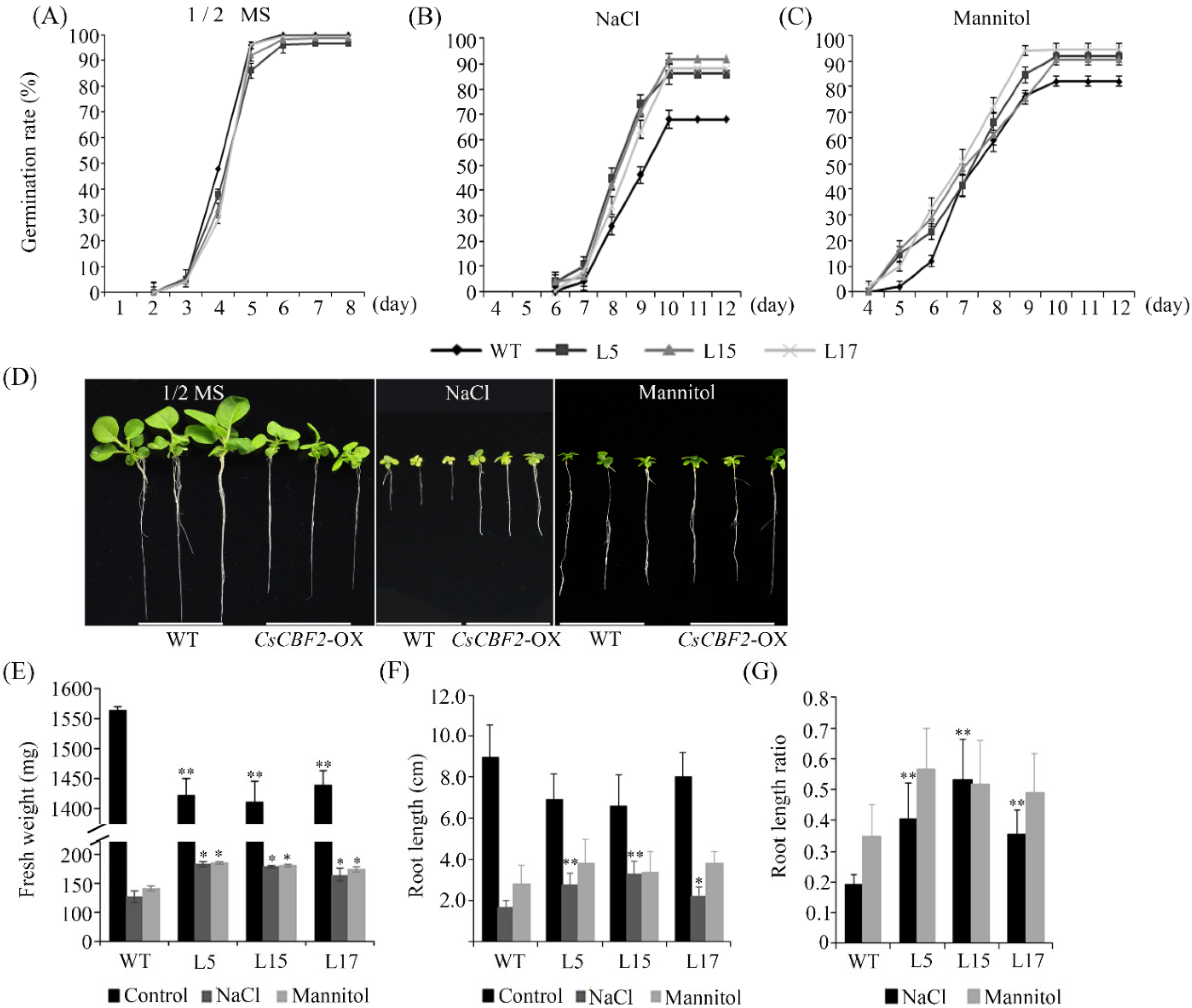 Horticulturae 08 00853 g007