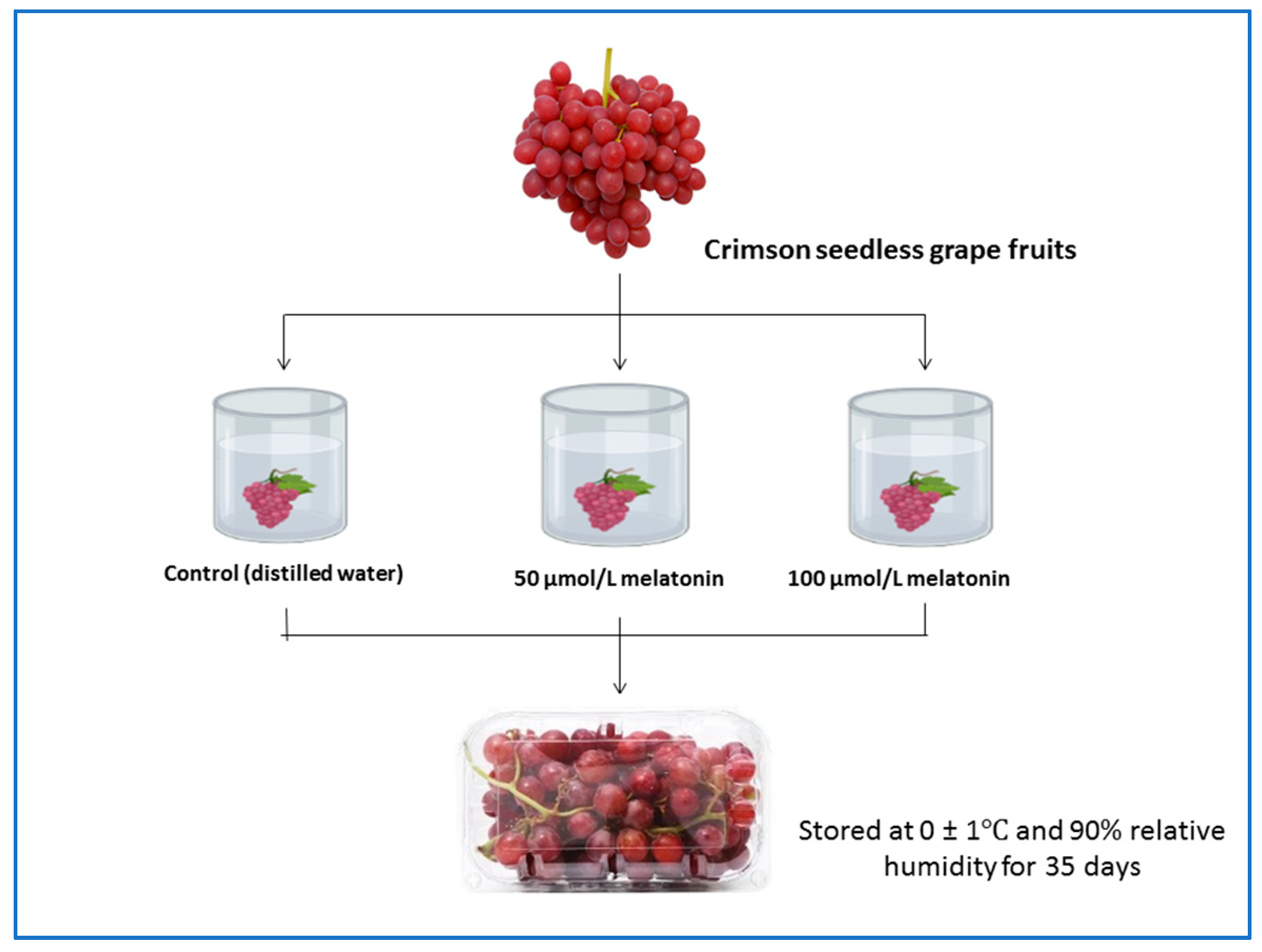 Horticulturae 08 00860 g001