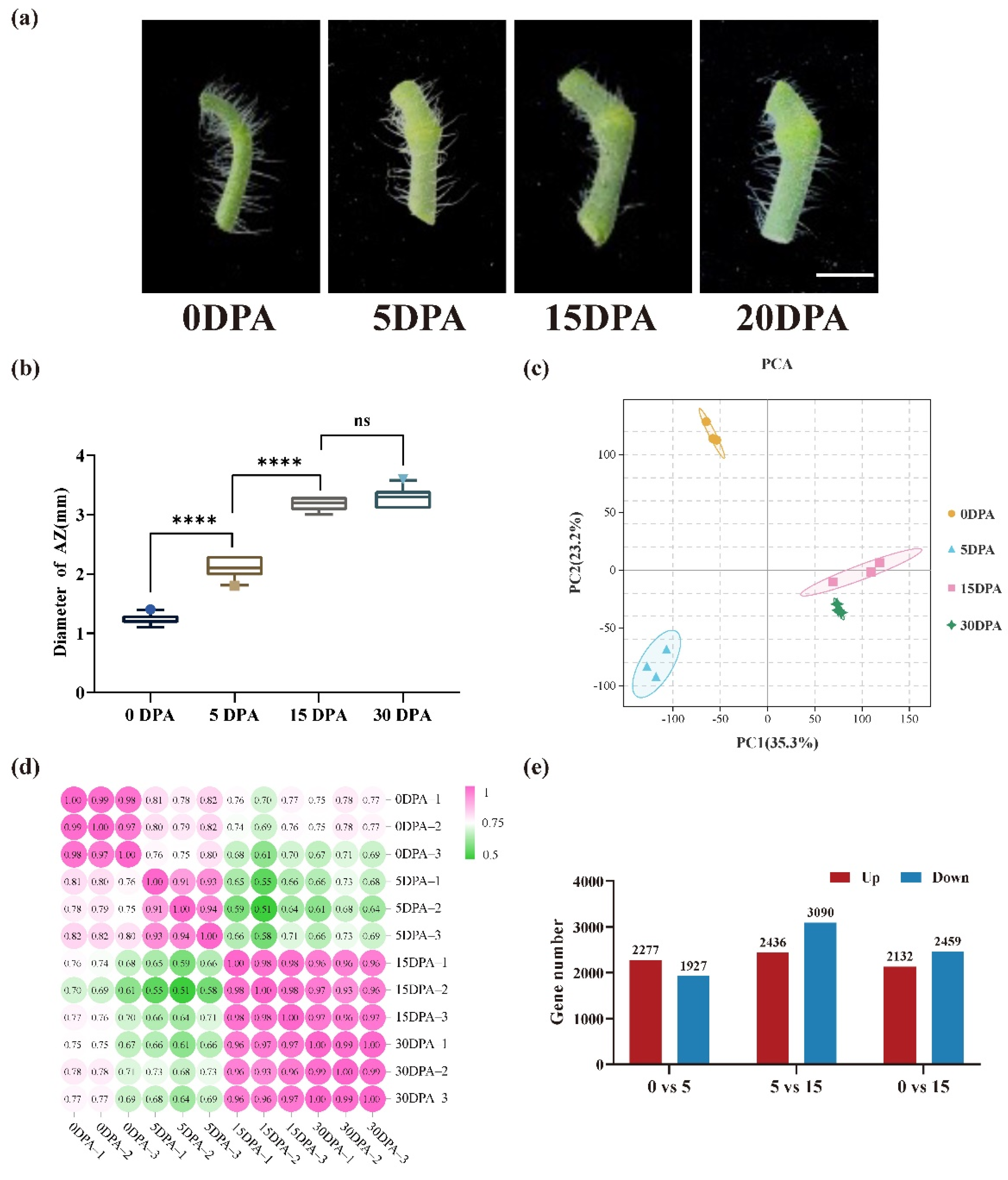 Horticulturae 08 00865 g001