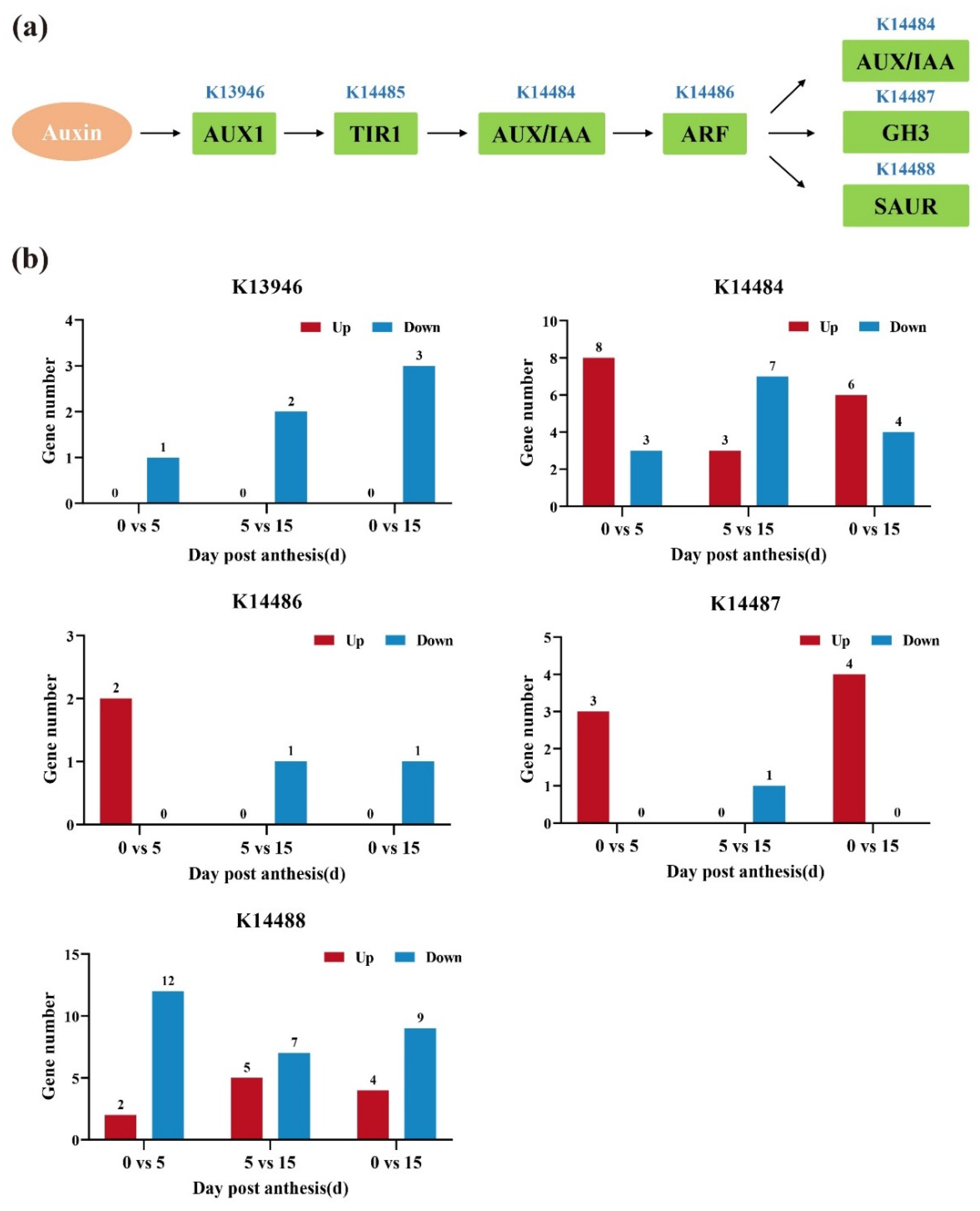 Horticulturae 08 00865 g005