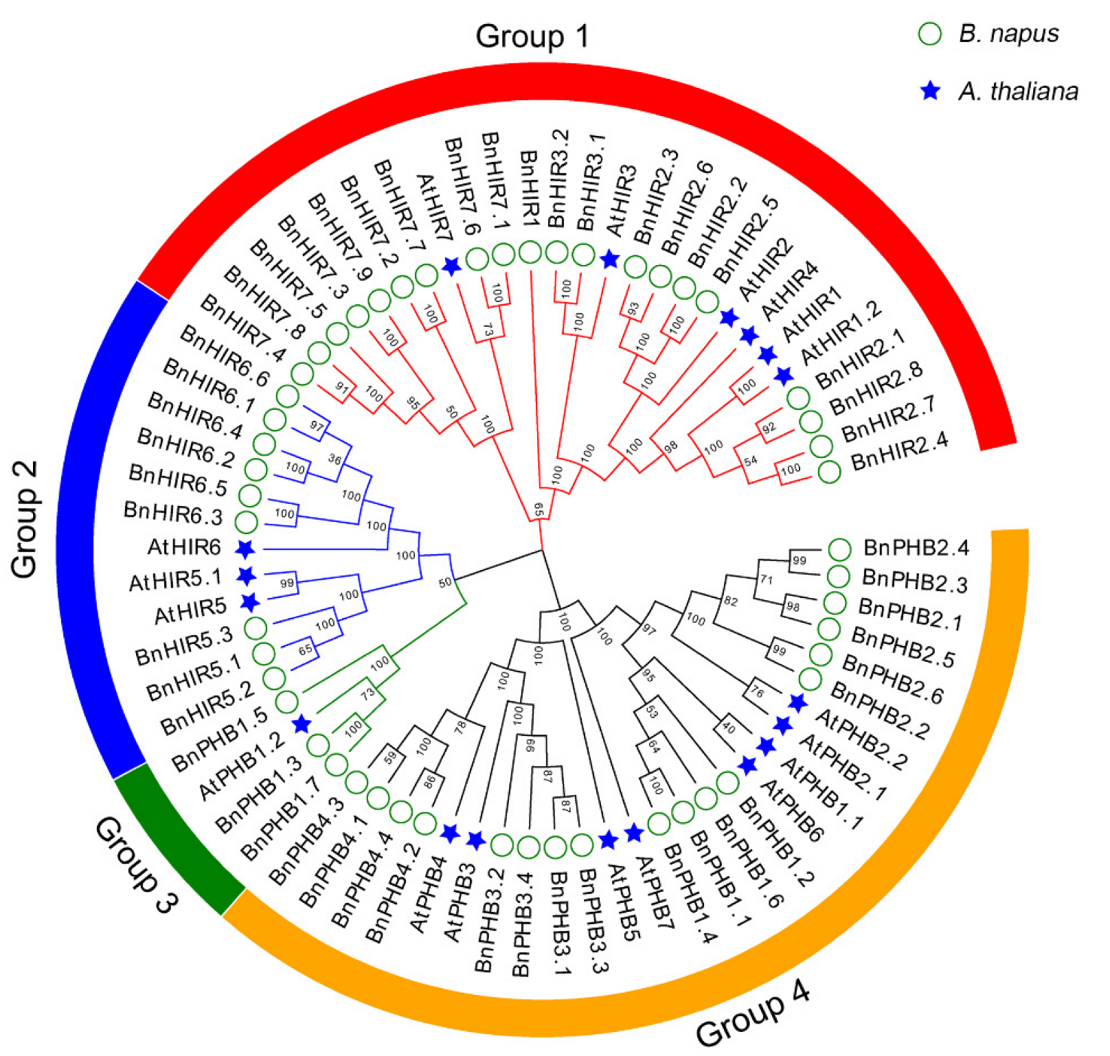 Horticulturae 08 00874 g001