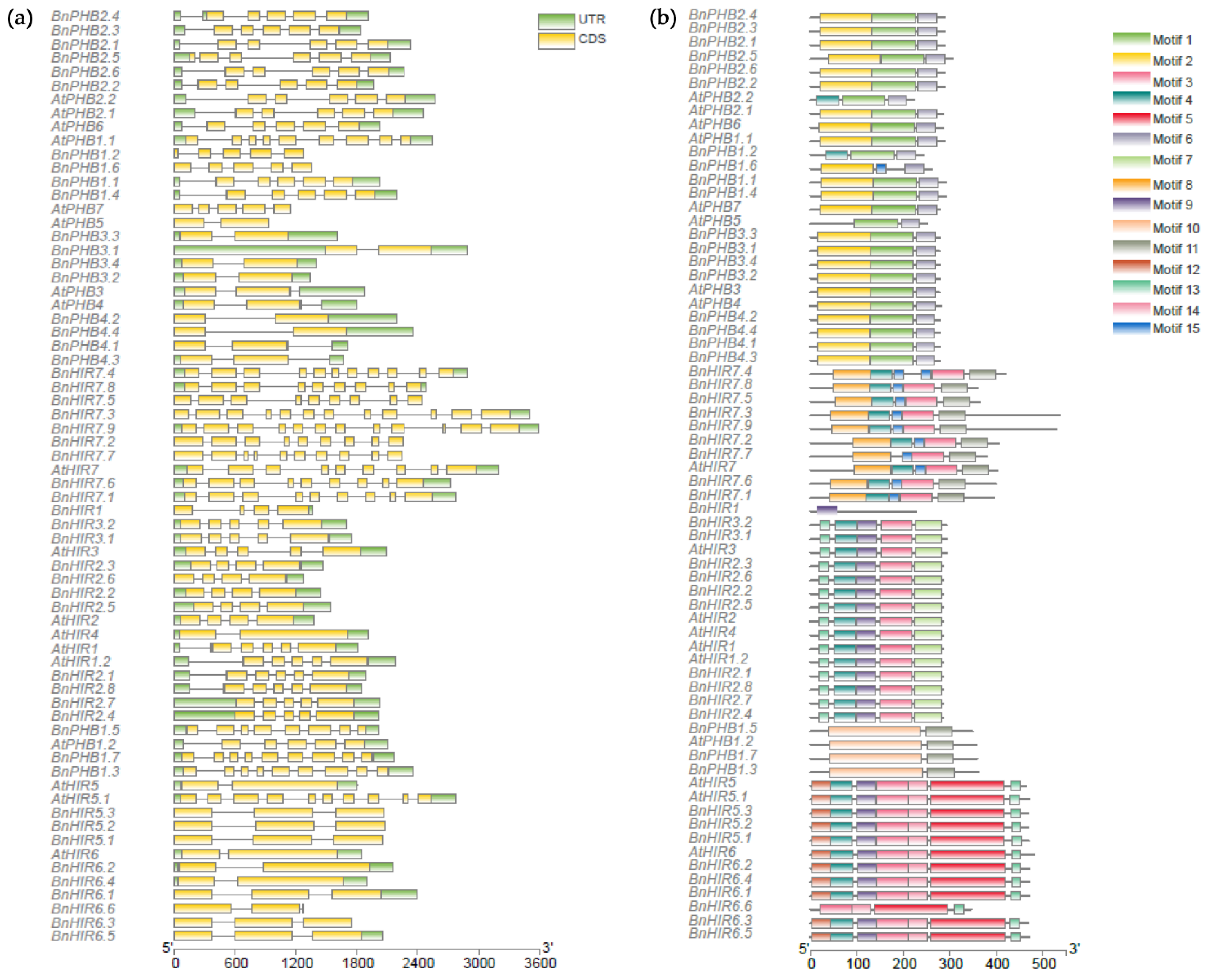 Horticulturae 08 00874 g002