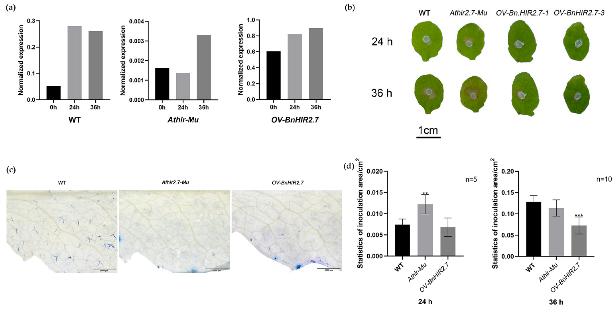 Horticulturae 08 00874 g006