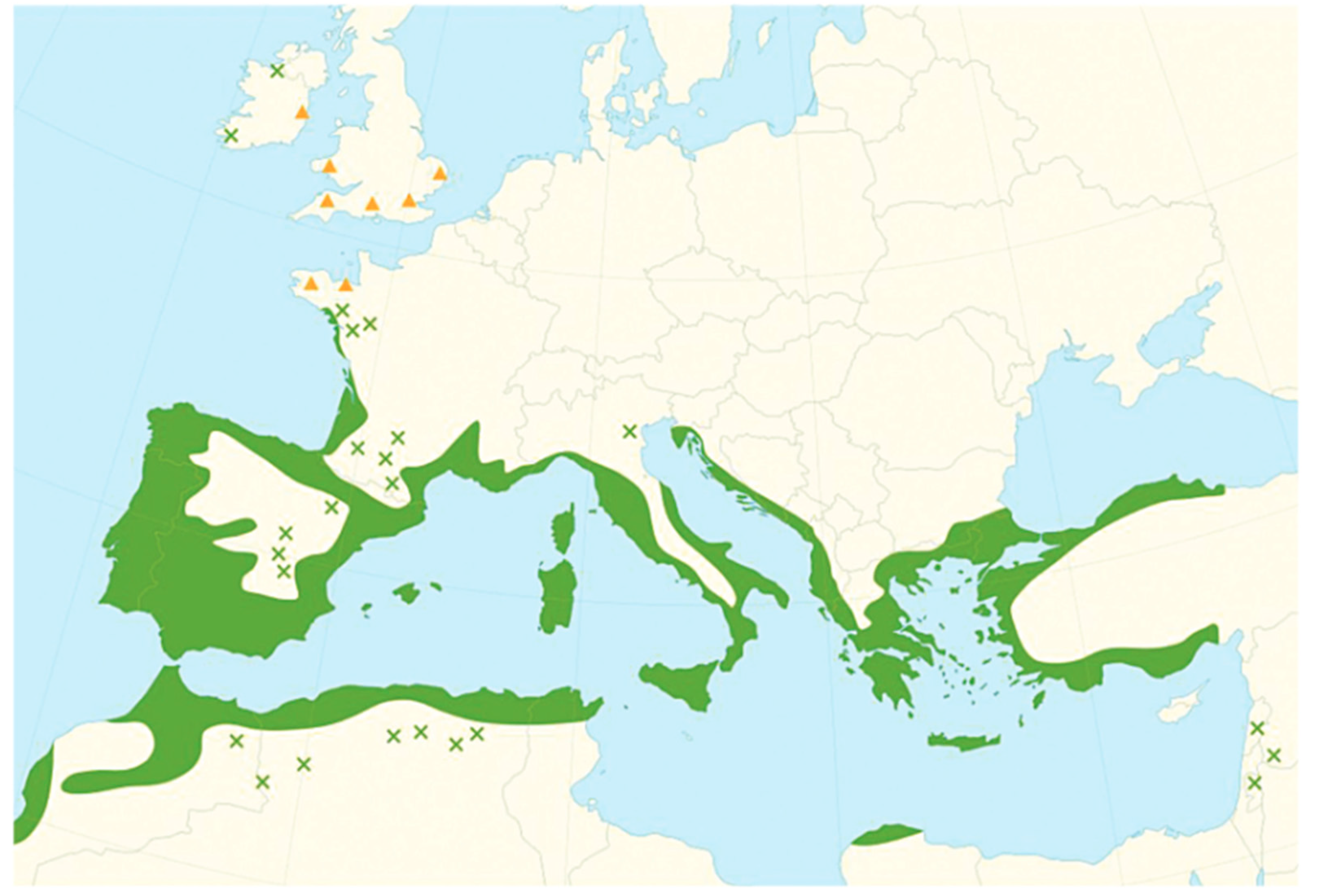 Horticulturae 08 00881 g002