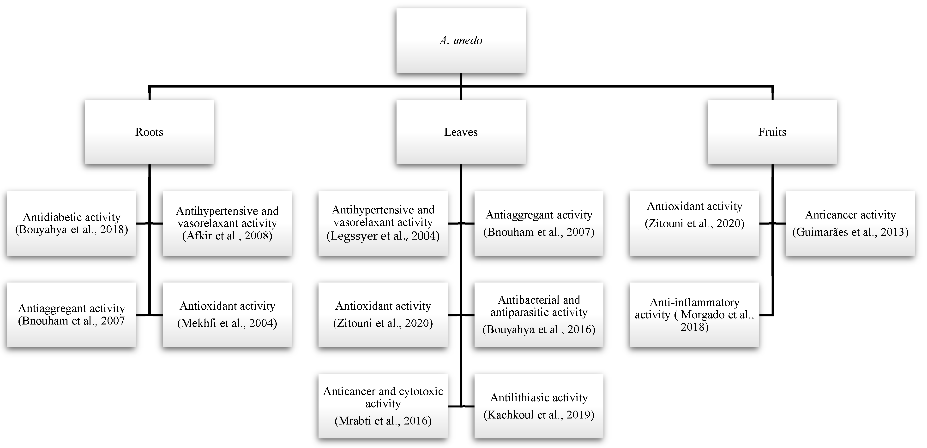 Horticulturae 08 00881 g004