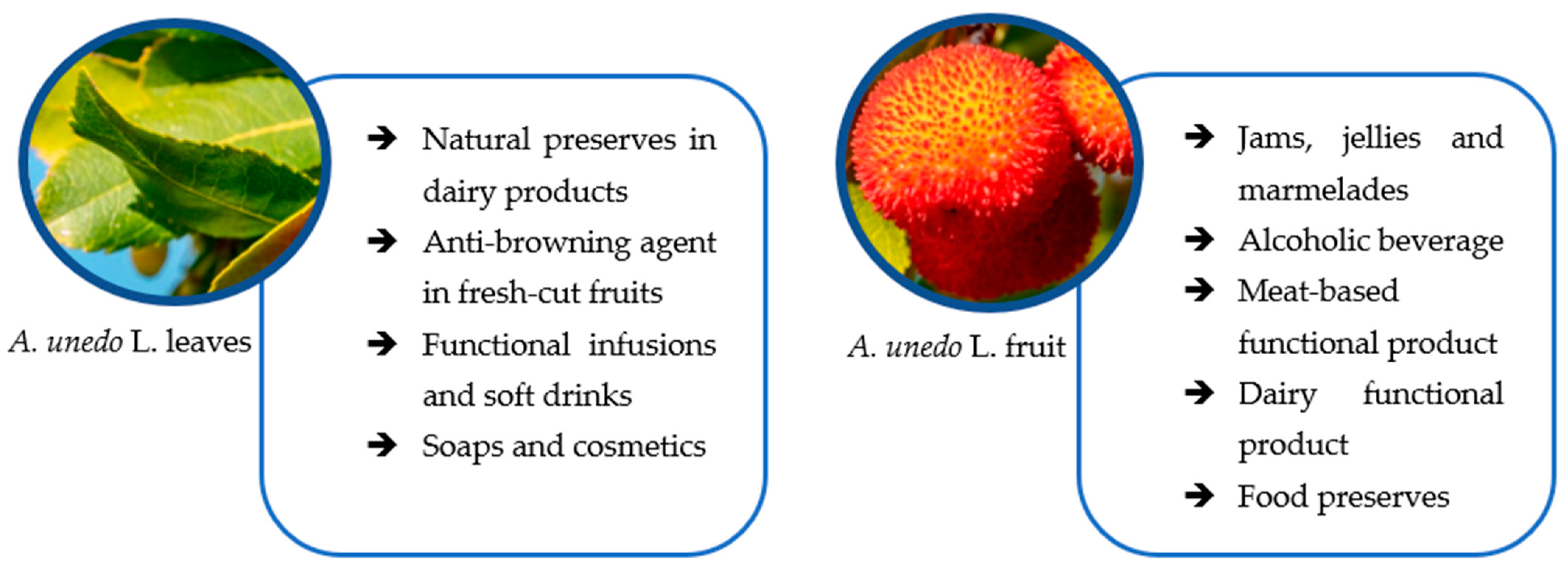 Horticulturae 08 00881 g005