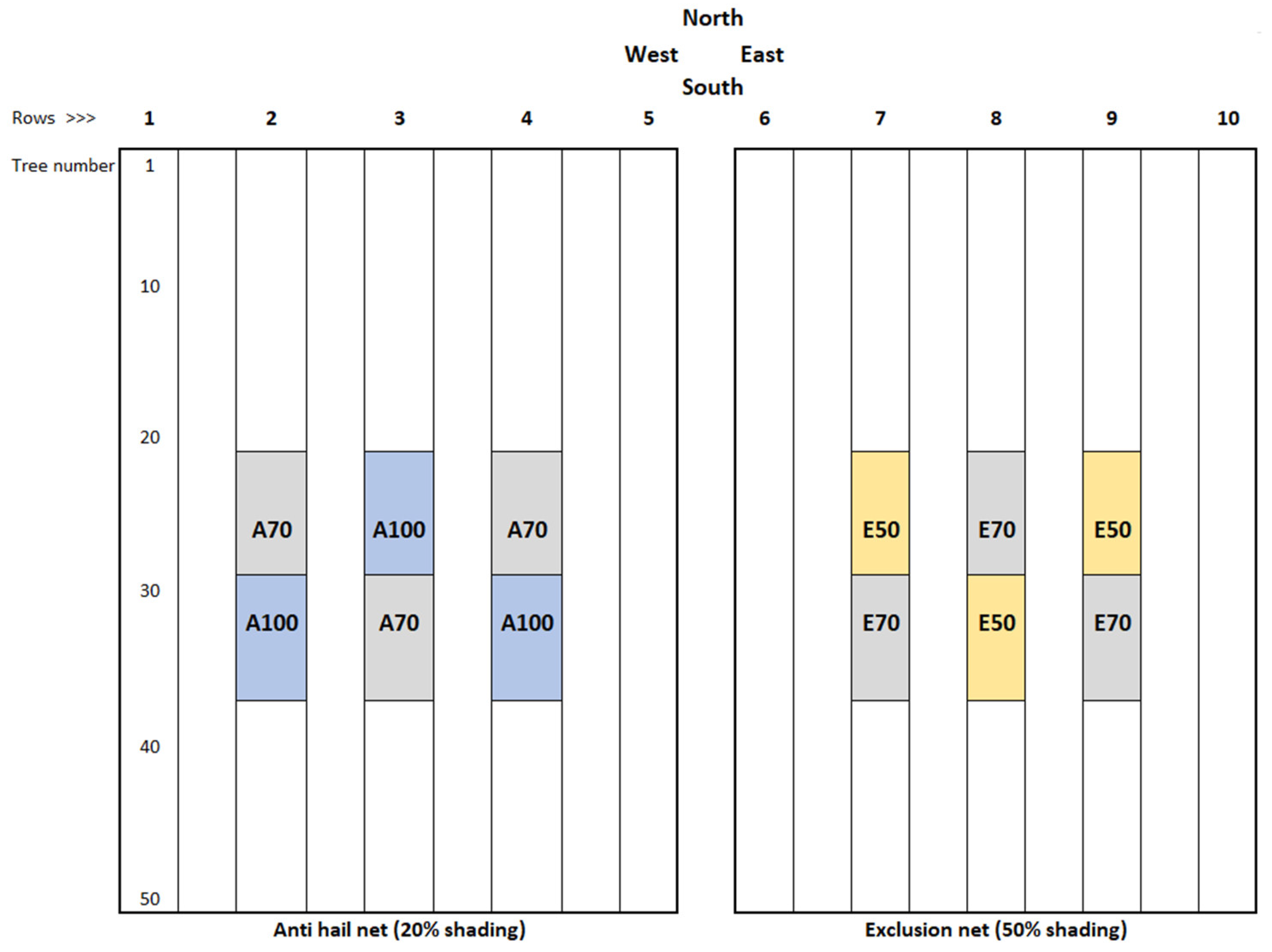 Horticulturae 08 00884 g001