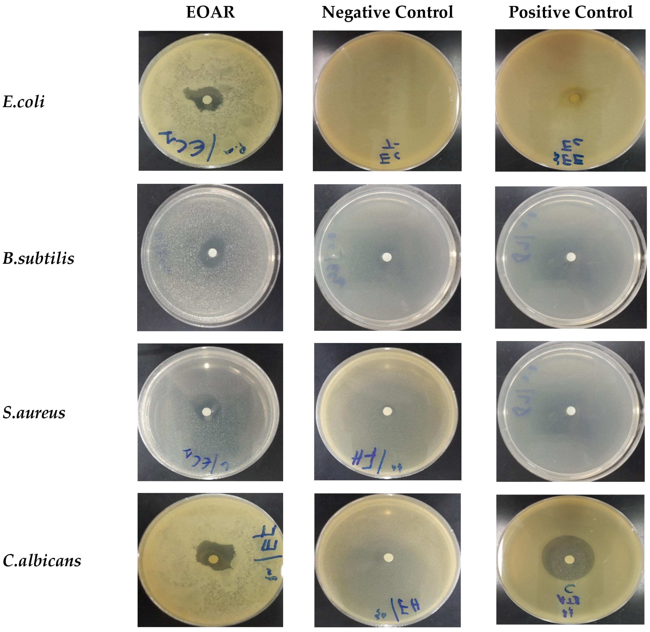 Horticulturae 08 00886 g004a