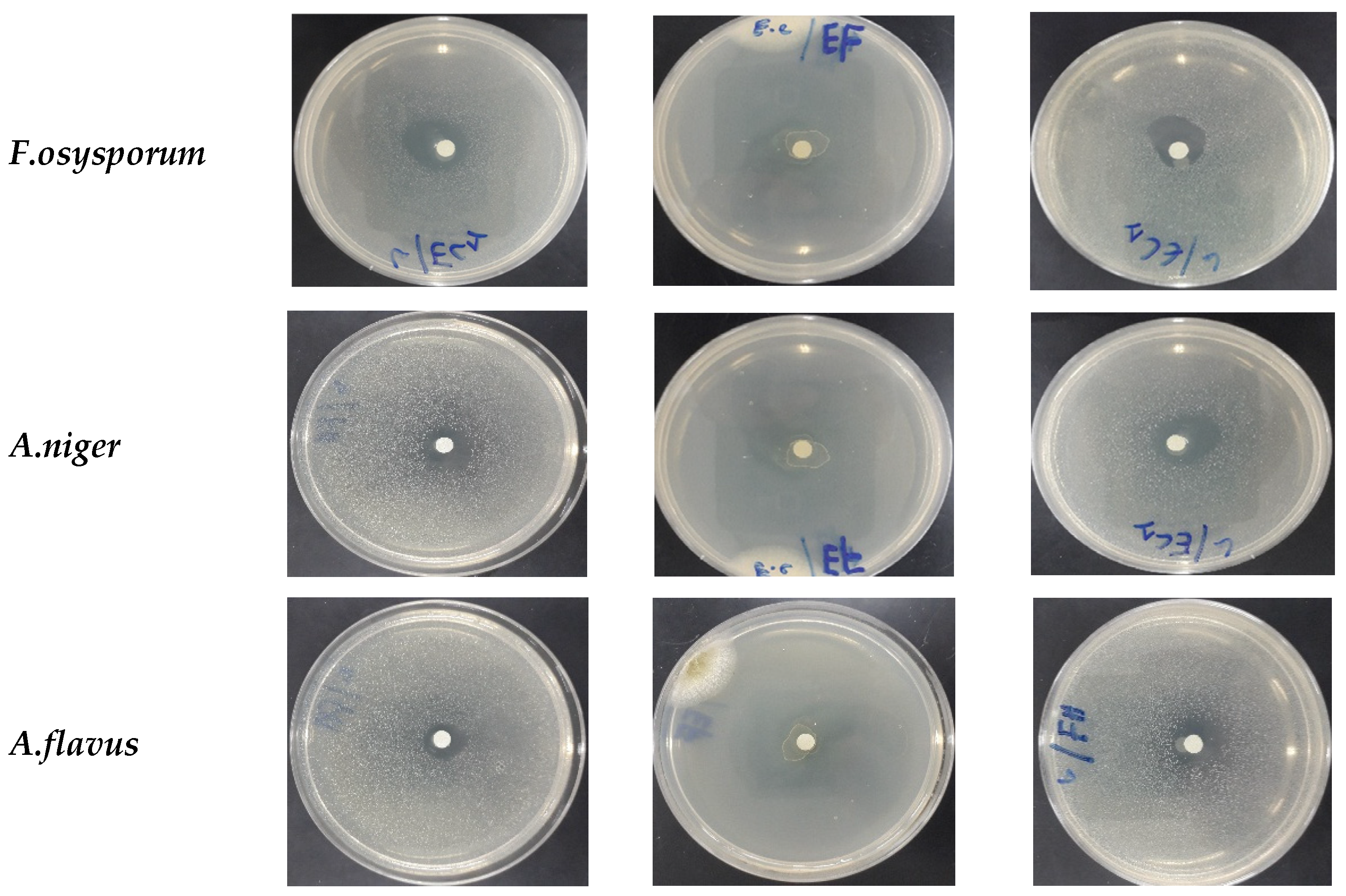 Horticulturae 08 00886 g004b