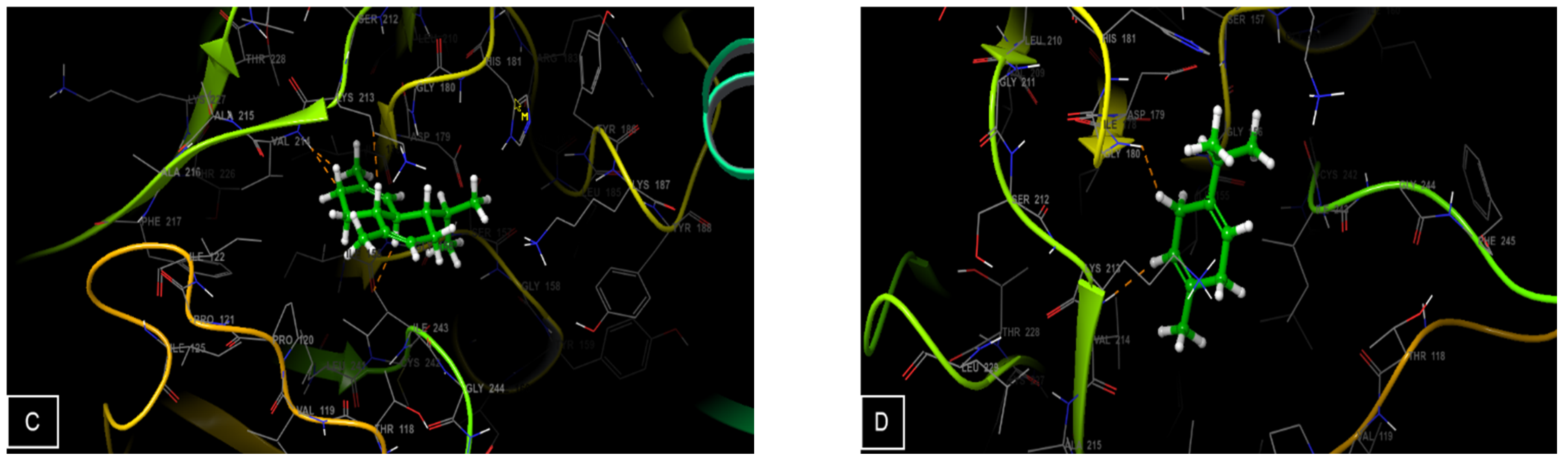 Horticulturae 08 00886 g006b