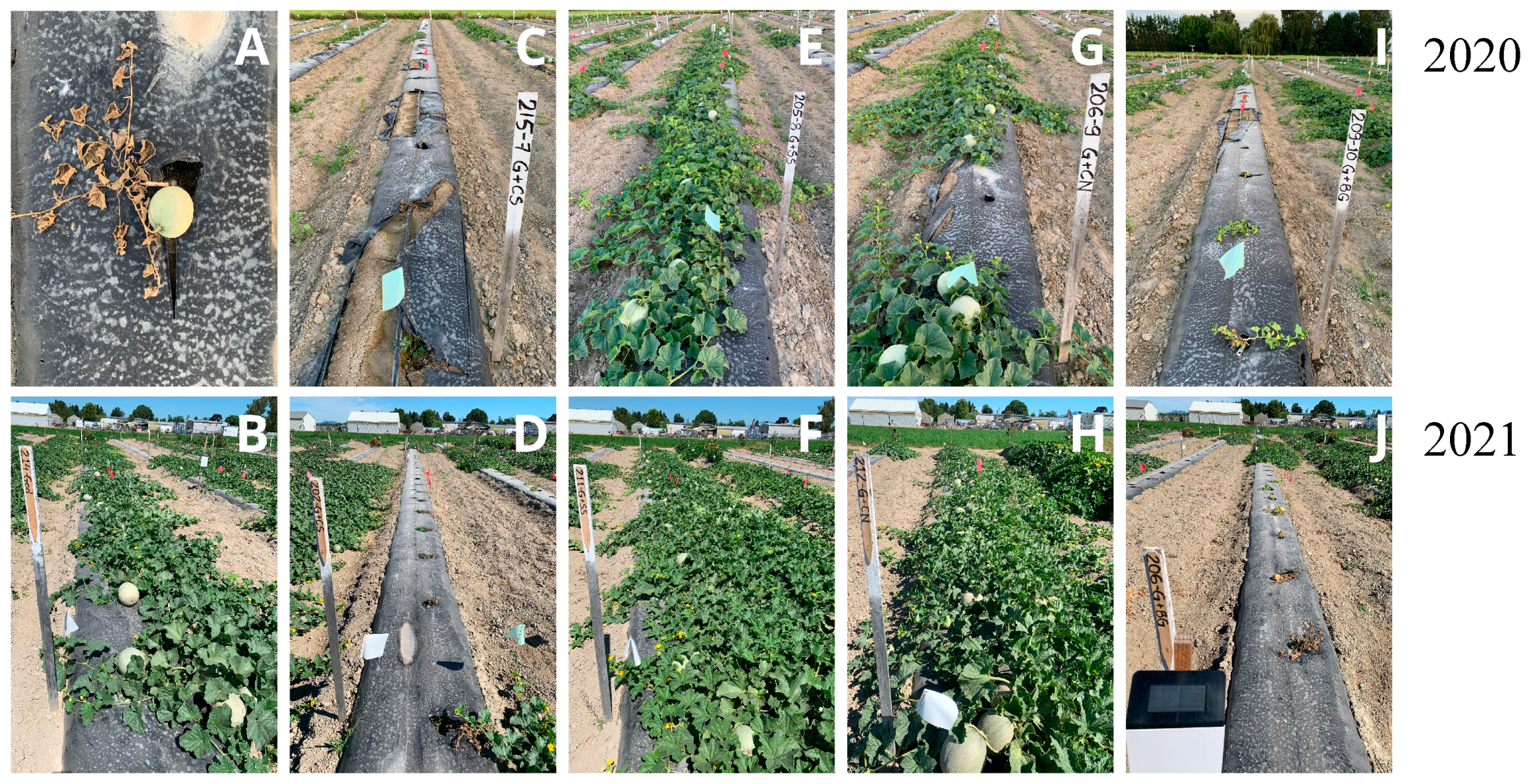 Horticulturae 08 00888 g002