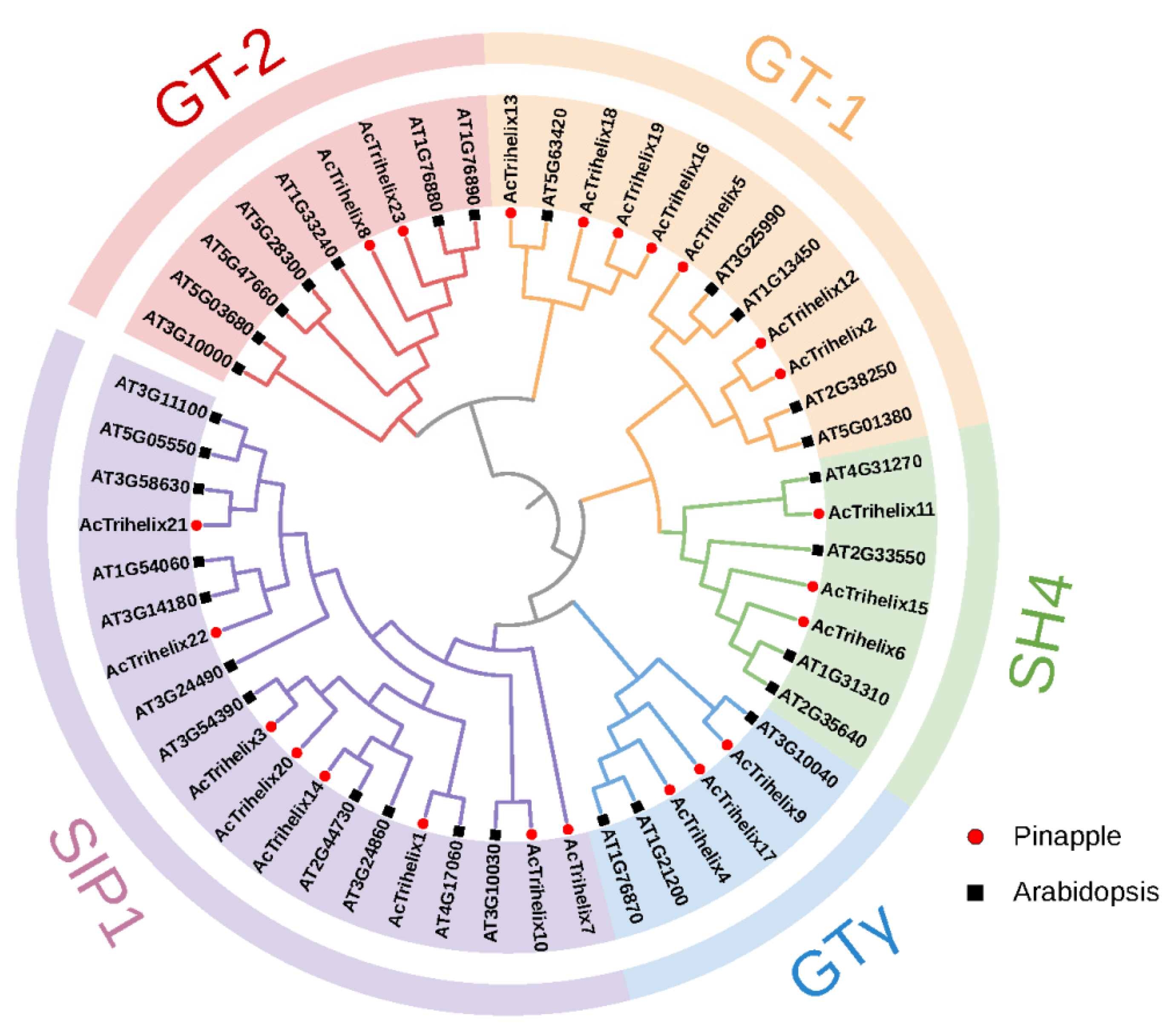 Horticulturae 08 00894 g001 Horticulturae 08 00894 g001