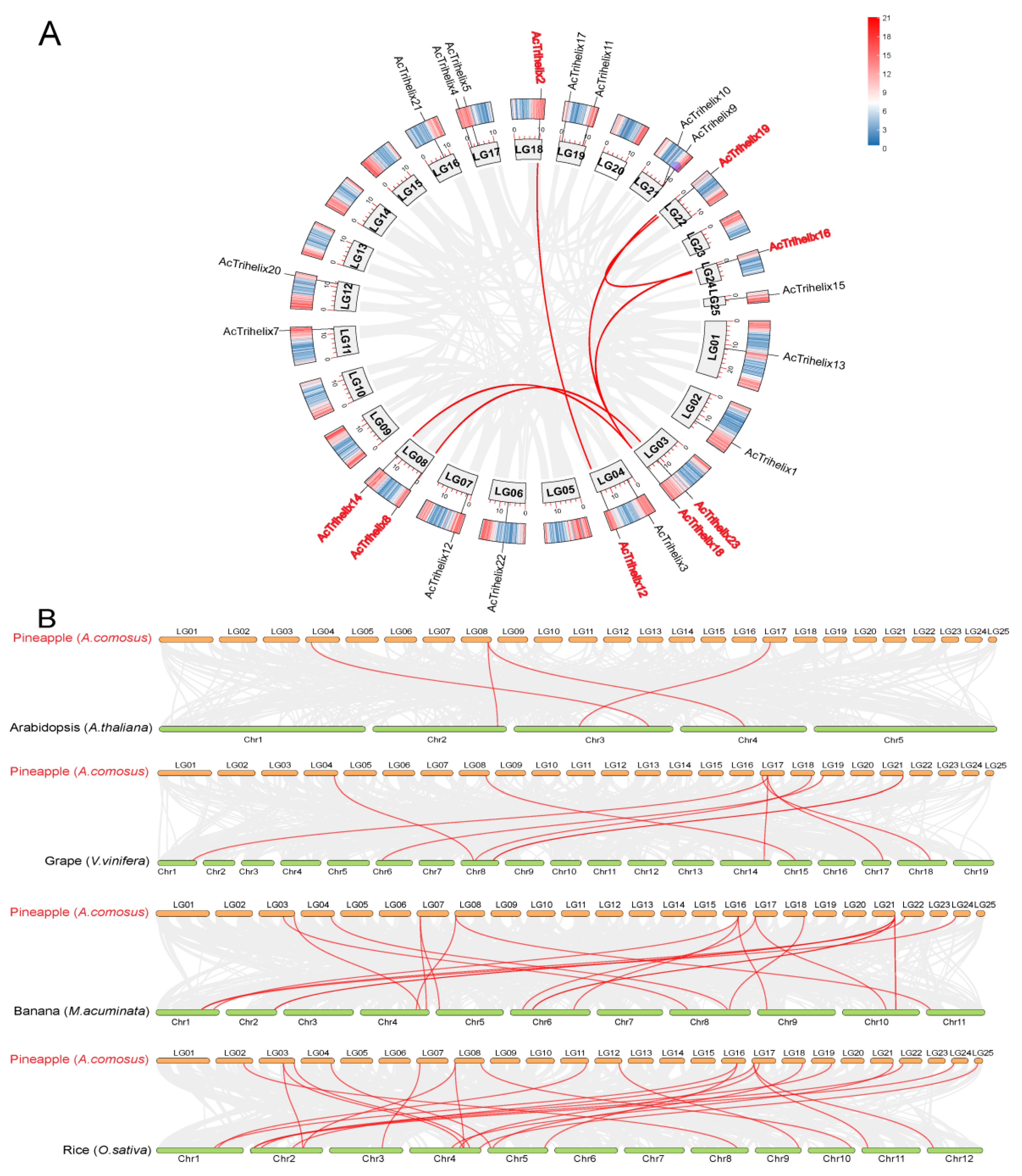 Horticulturae 08 00894 g005 Horticulturae 08 00894 g005