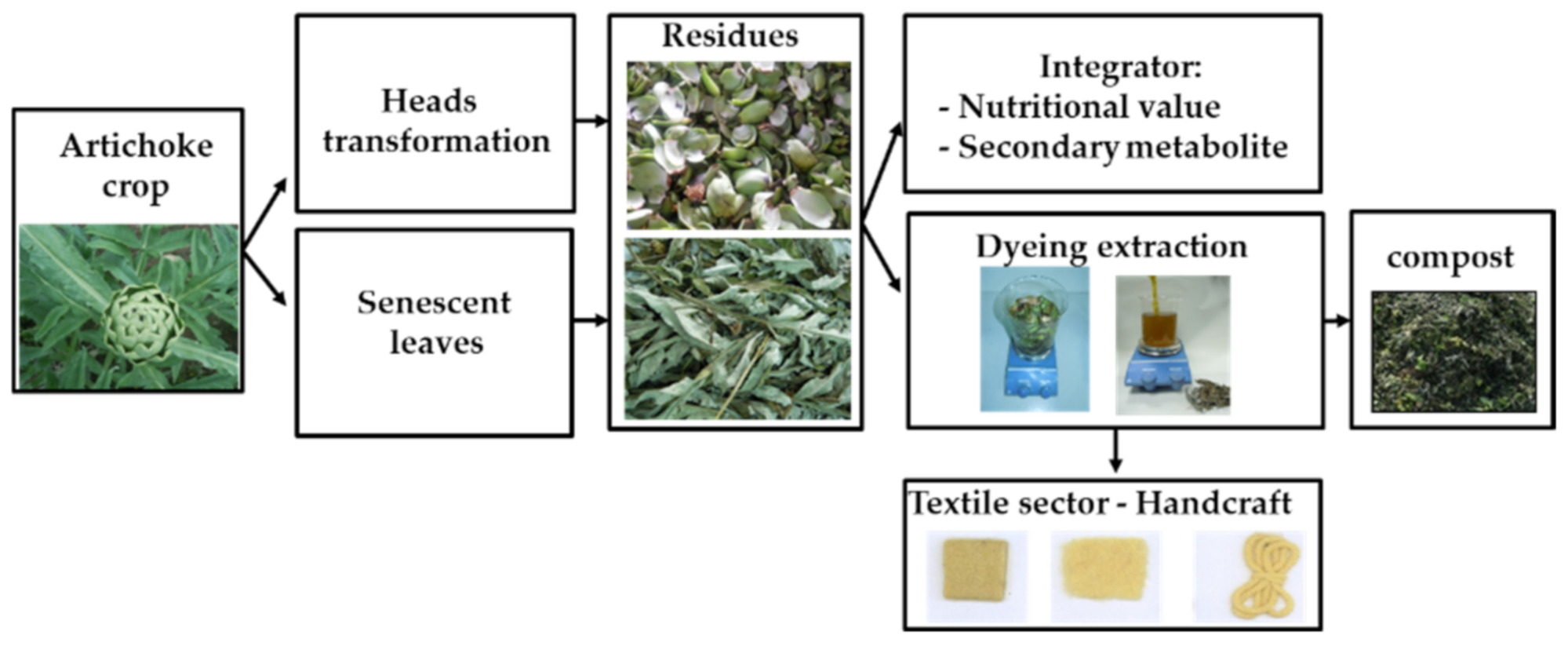 Horticulturae 08 00900 g001