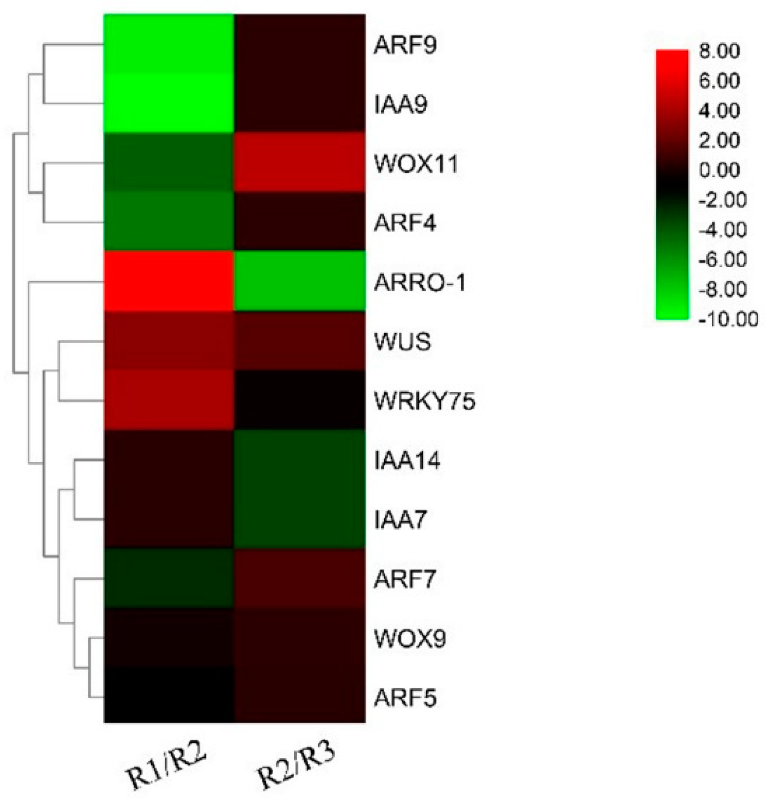 Horticulturae 08 00903 g001
