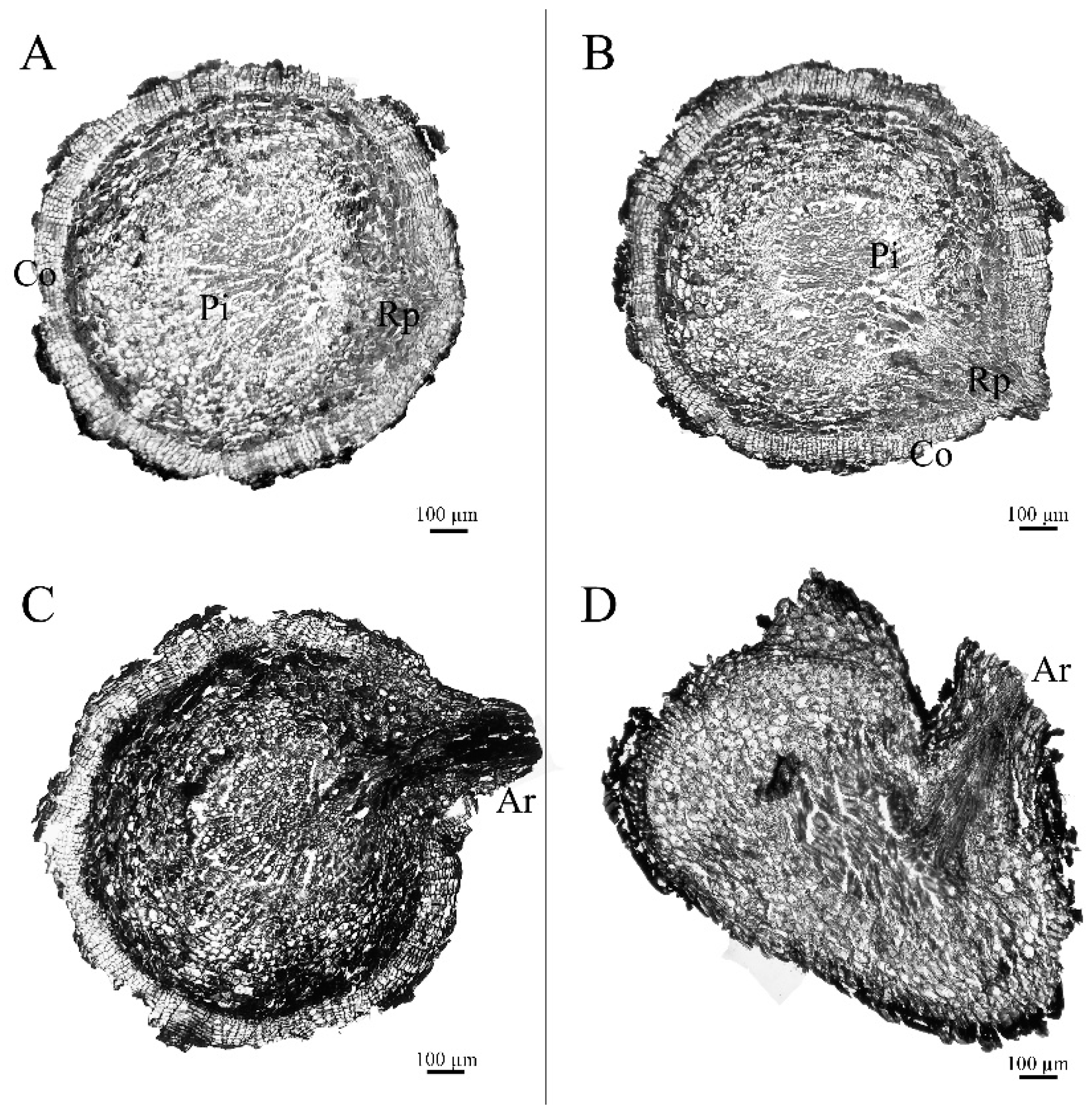 Horticulturae 08 00903 g002