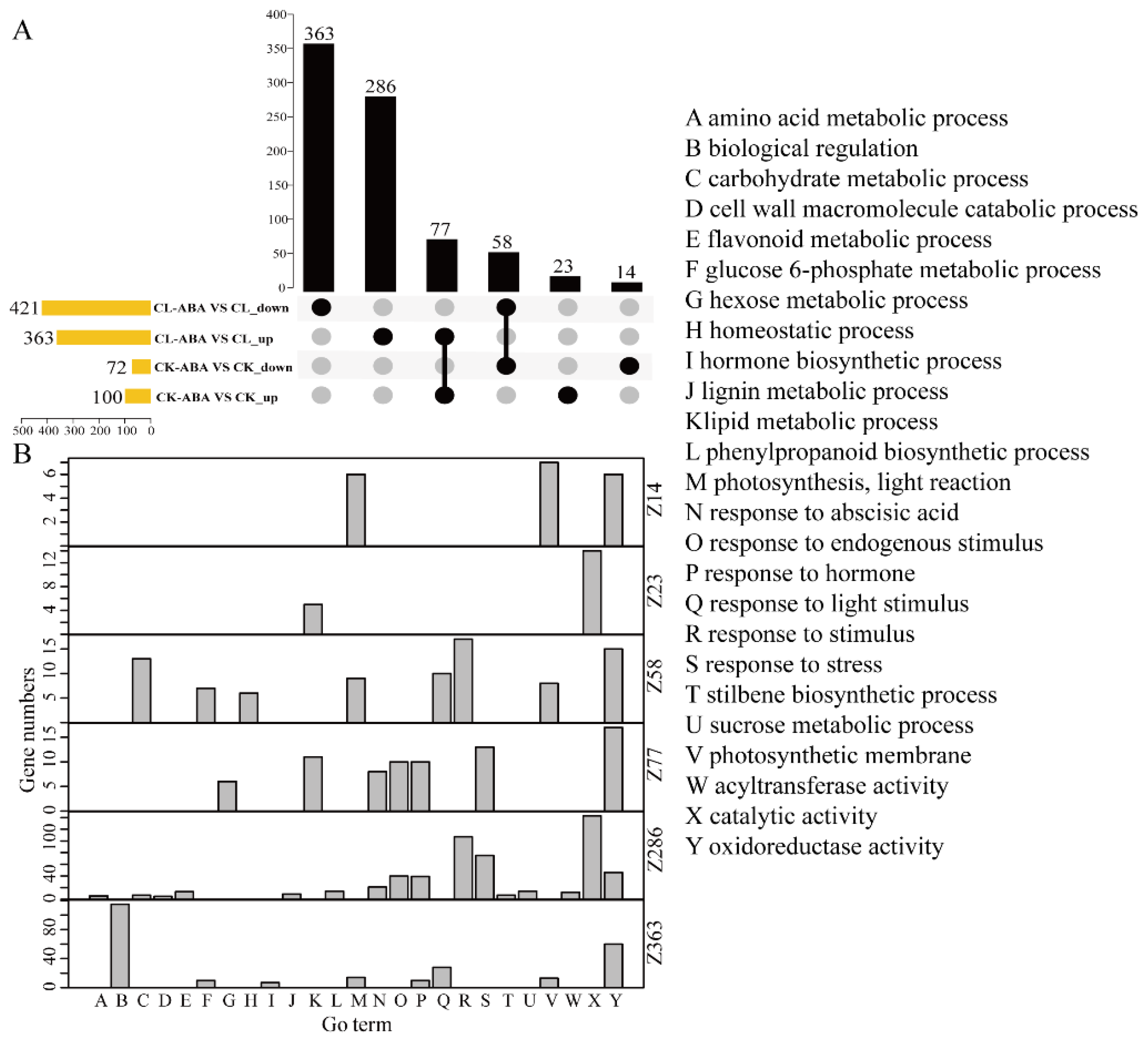 Horticulturae 08 00905 g004 Horticulturae 08 00905 g004