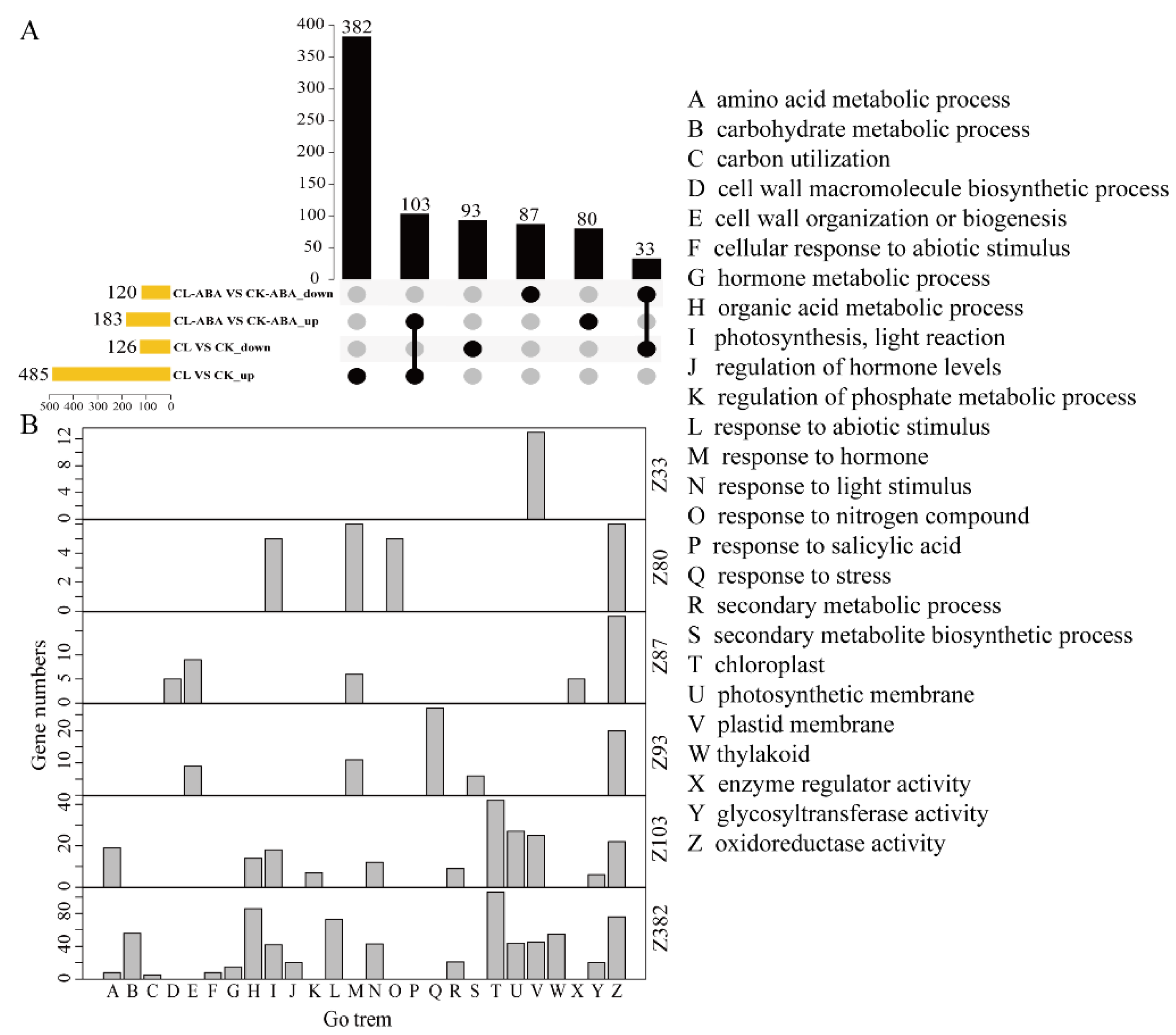 Horticulturae 08 00905 g005 Horticulturae 08 00905 g005