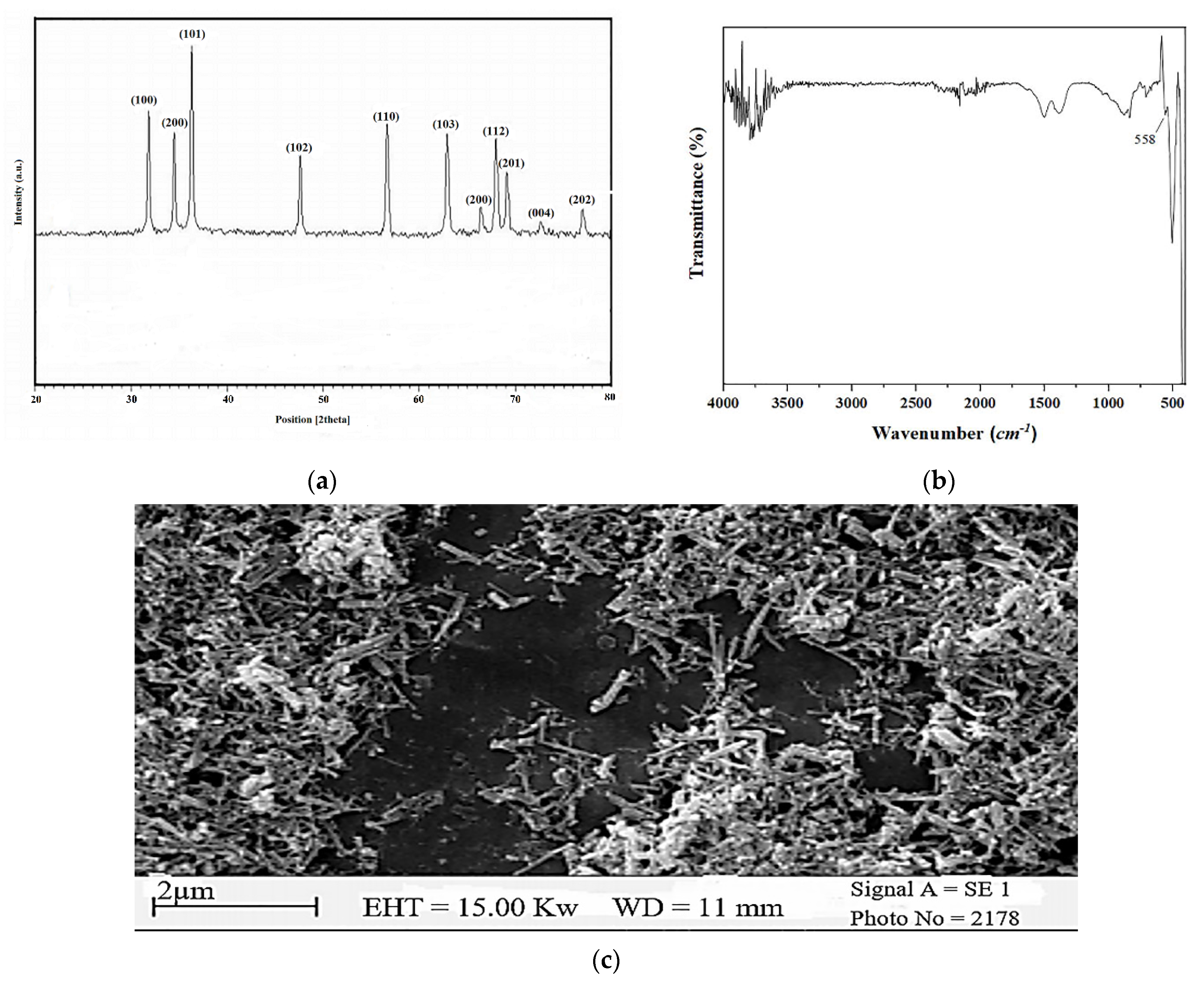 Horticulturae 08 00908 g001 Horticulturae 08 00908 g001