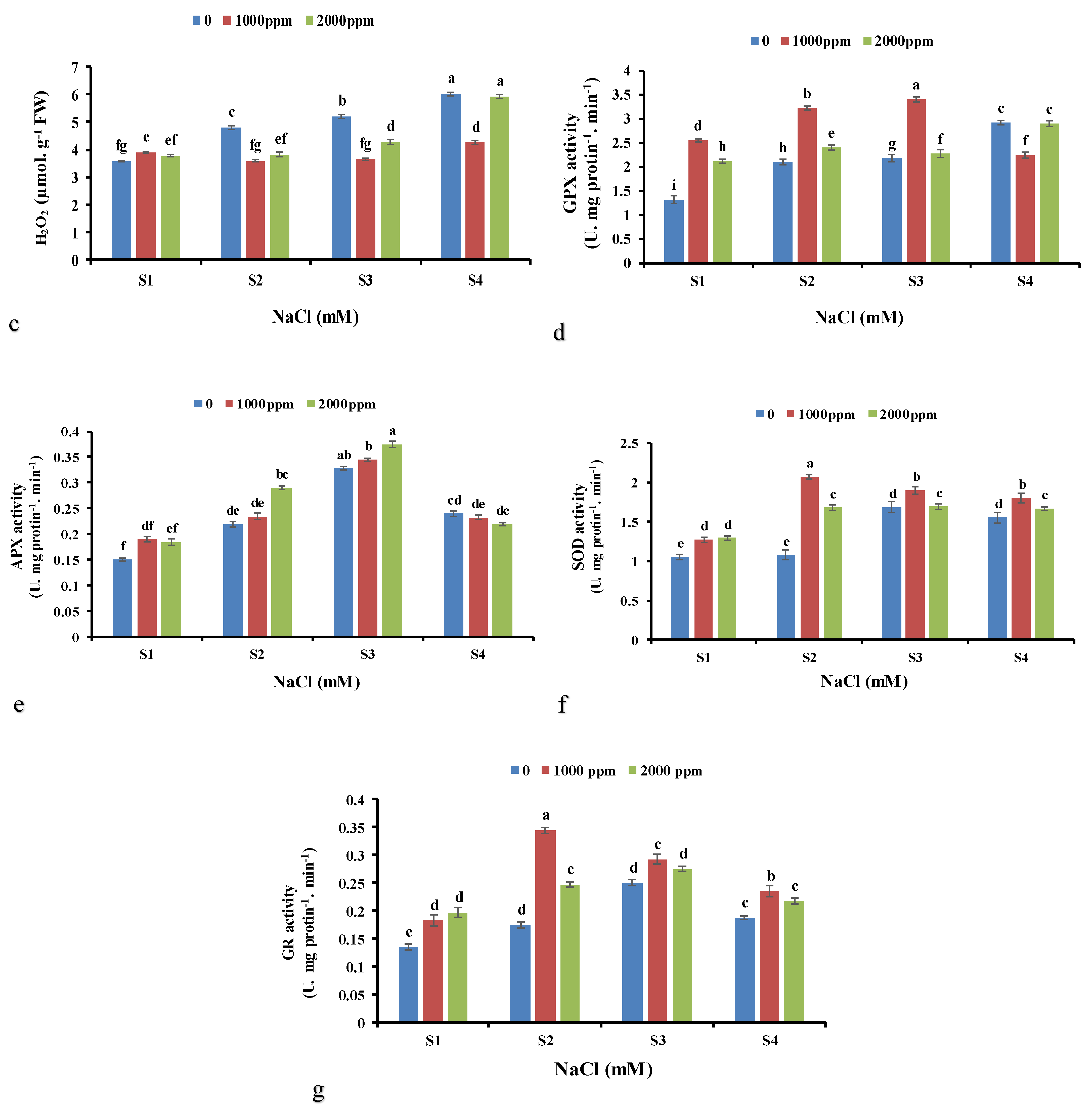 Horticulturae 08 00908 g002b Horticulturae 08 00908 g002b