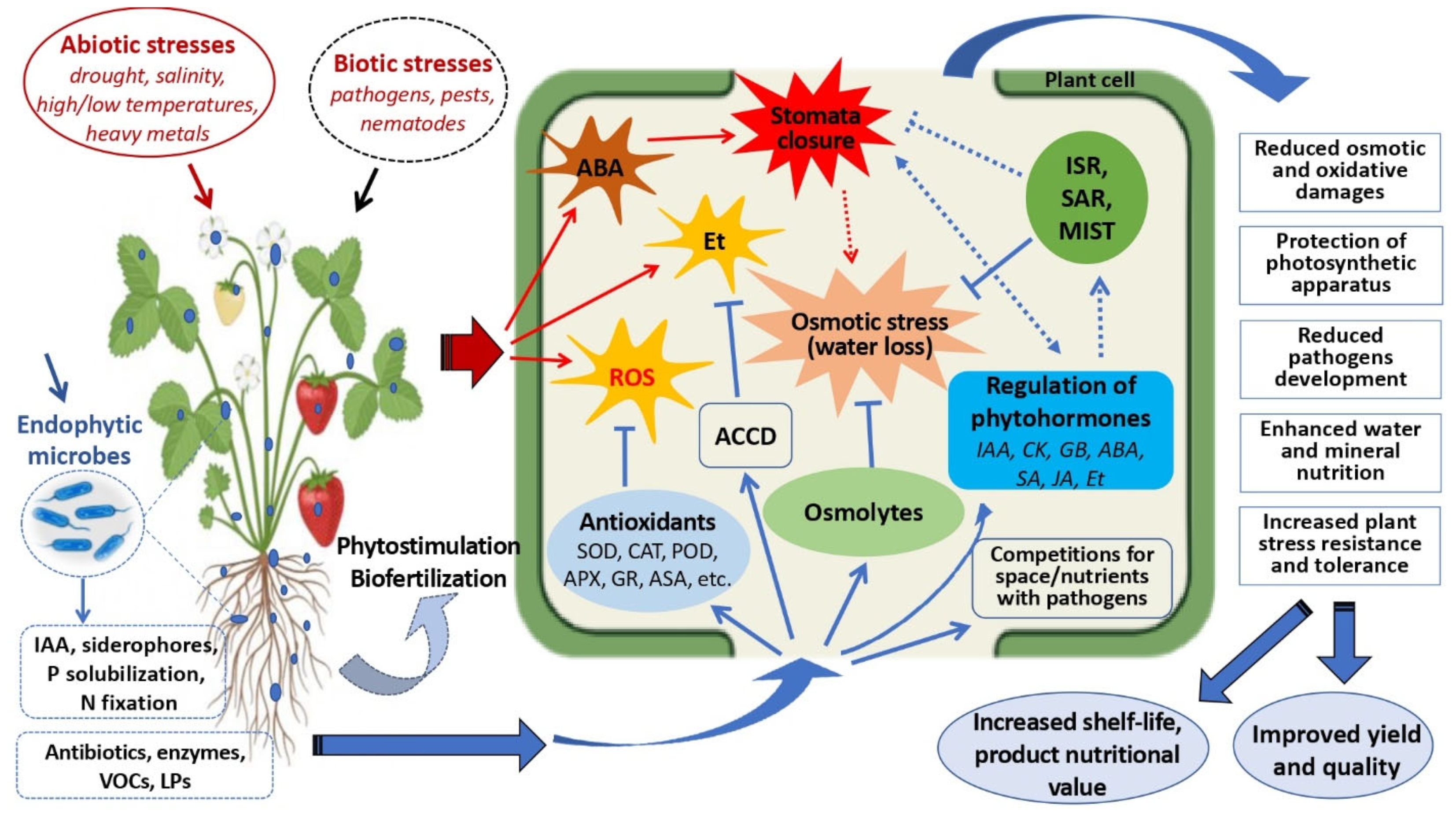 Horticulturae 08 00910 g002