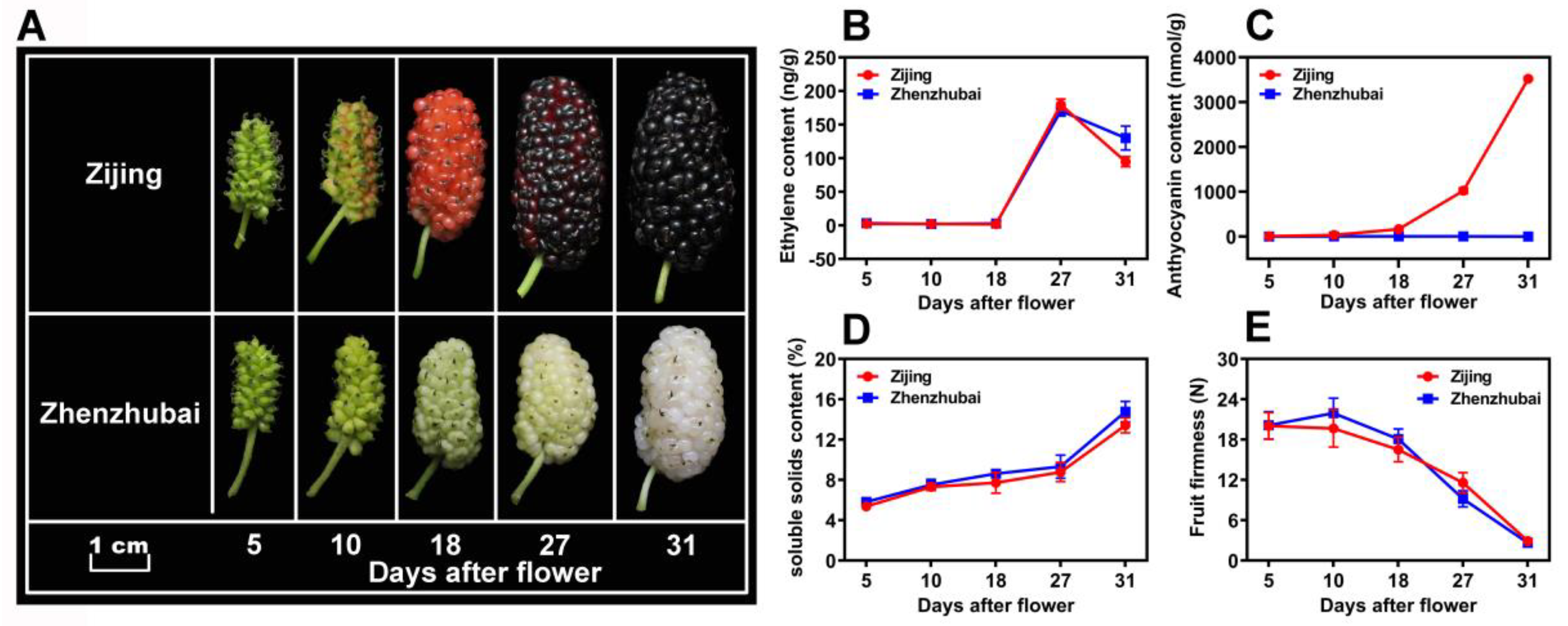 Horticulturae 08 00920 g001