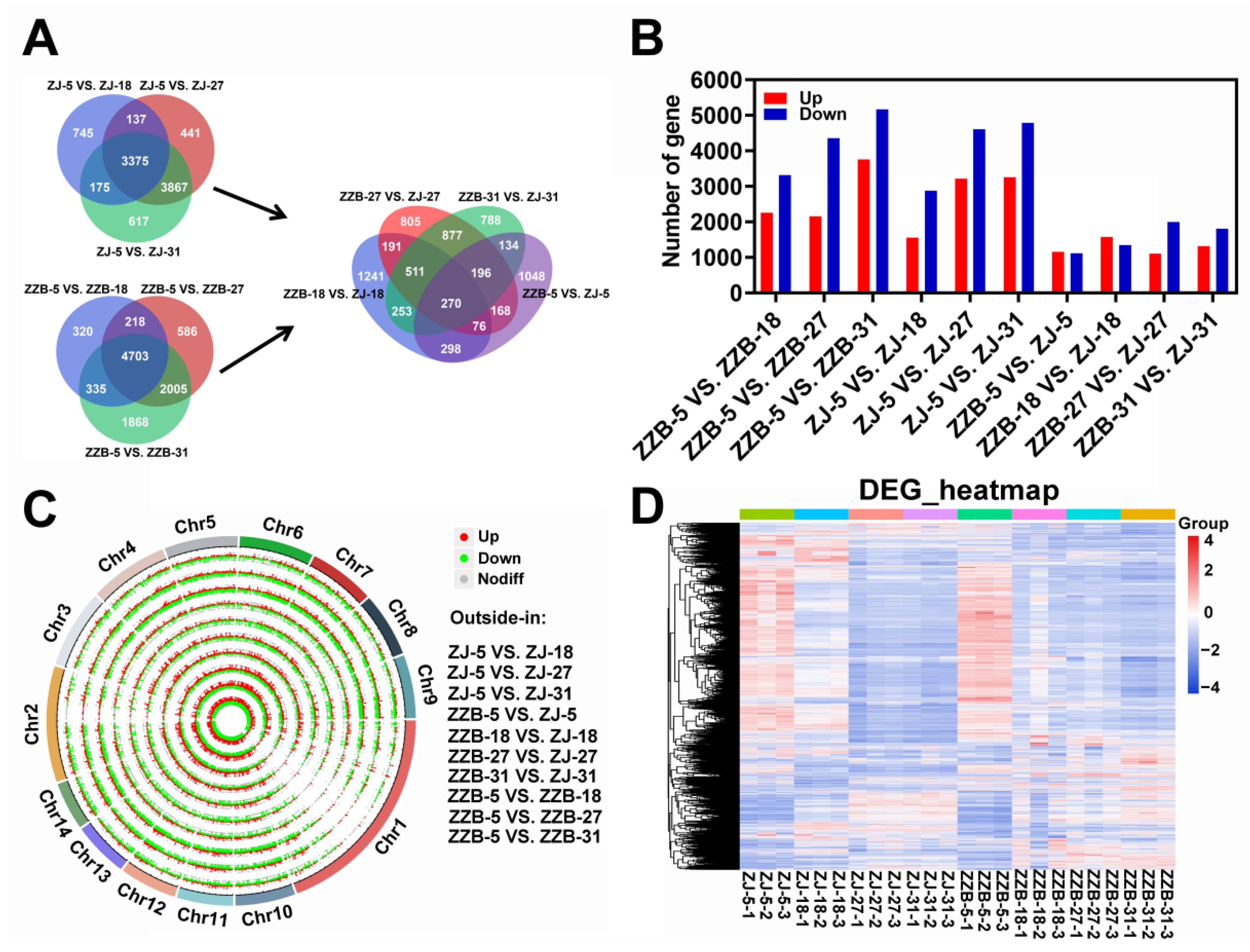 Horticulturae 08 00920 g002