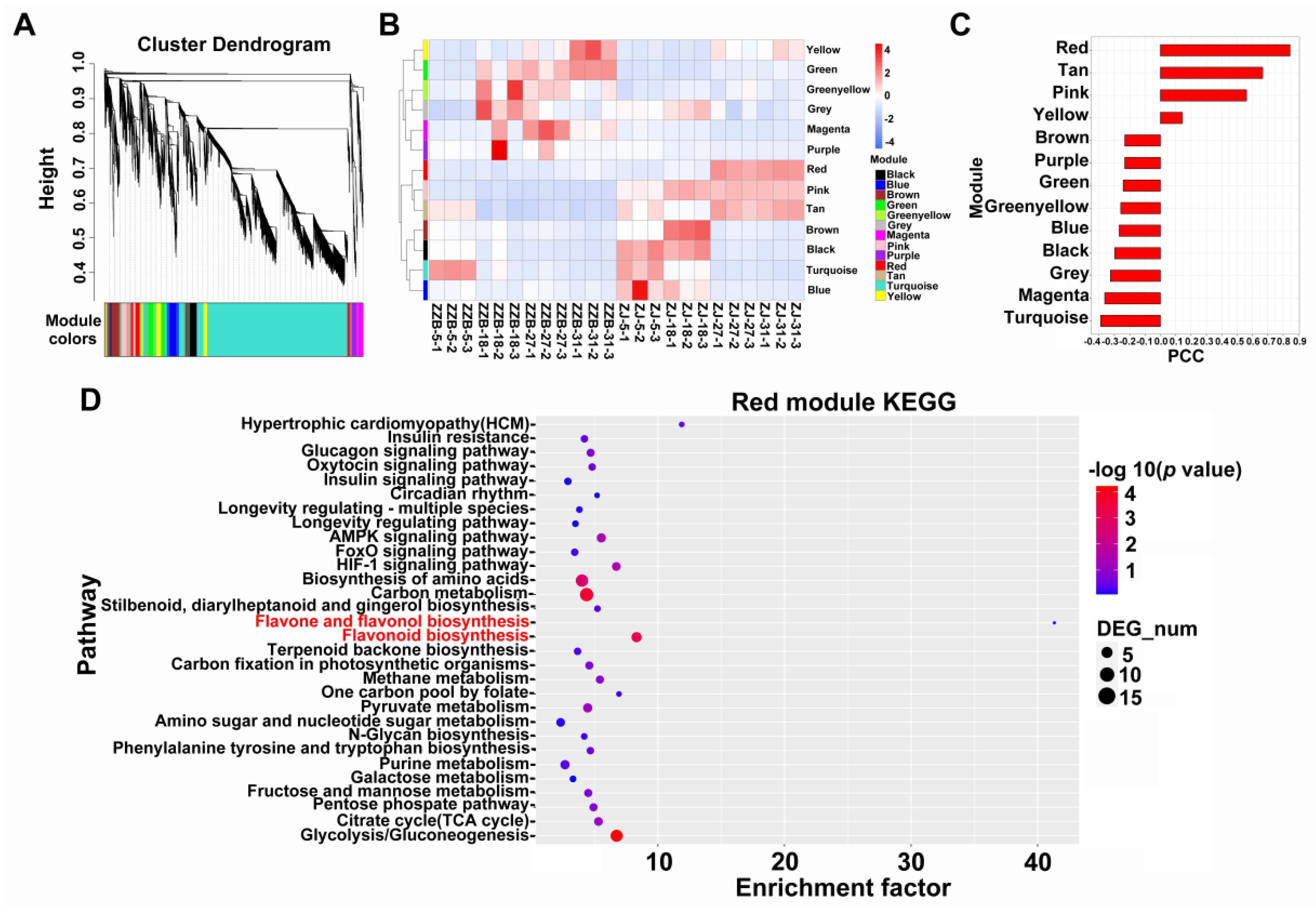 Horticulturae 08 00920 g003