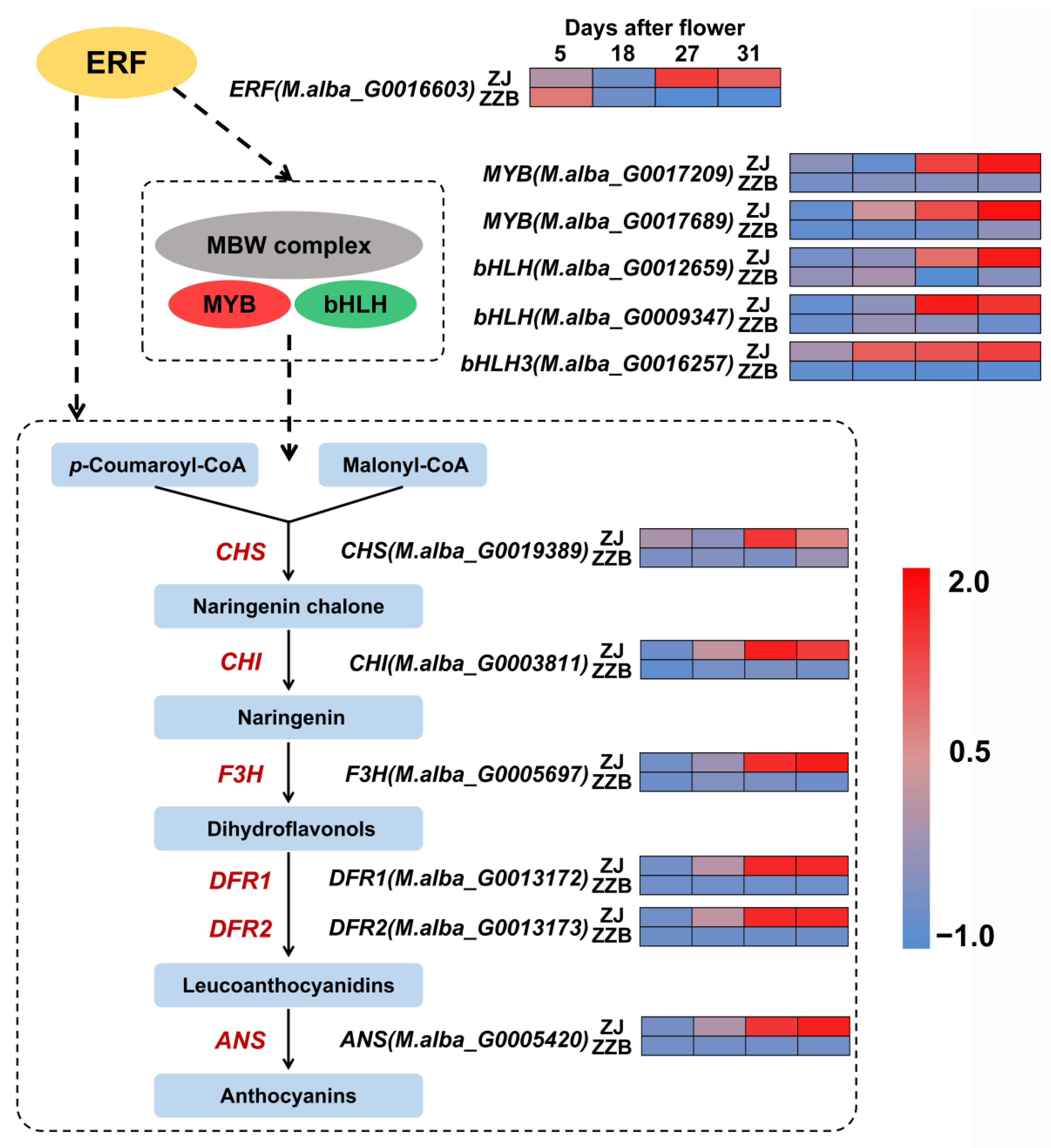 Horticulturae 08 00920 g006