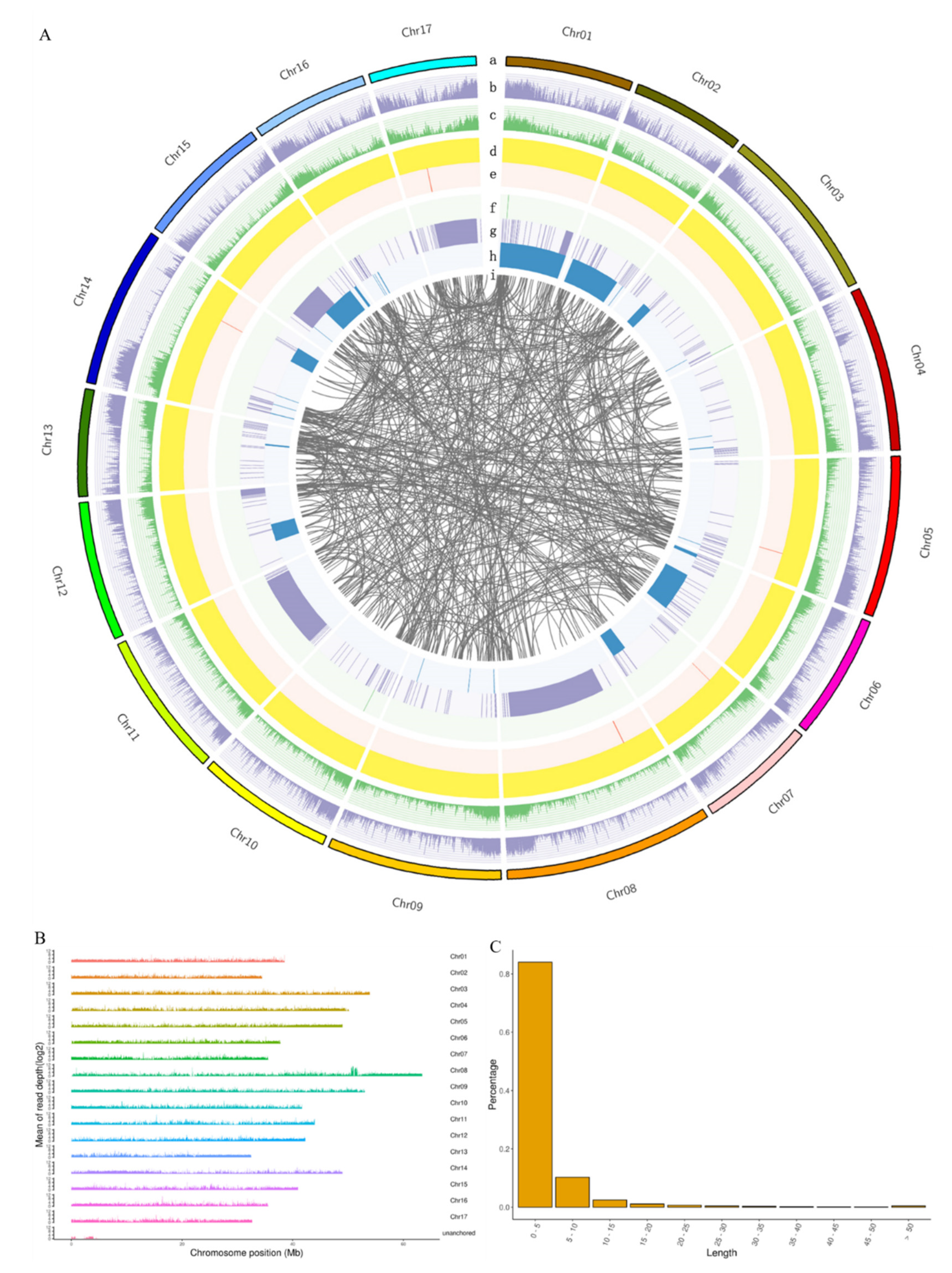 Horticulturae 08 00921 g002