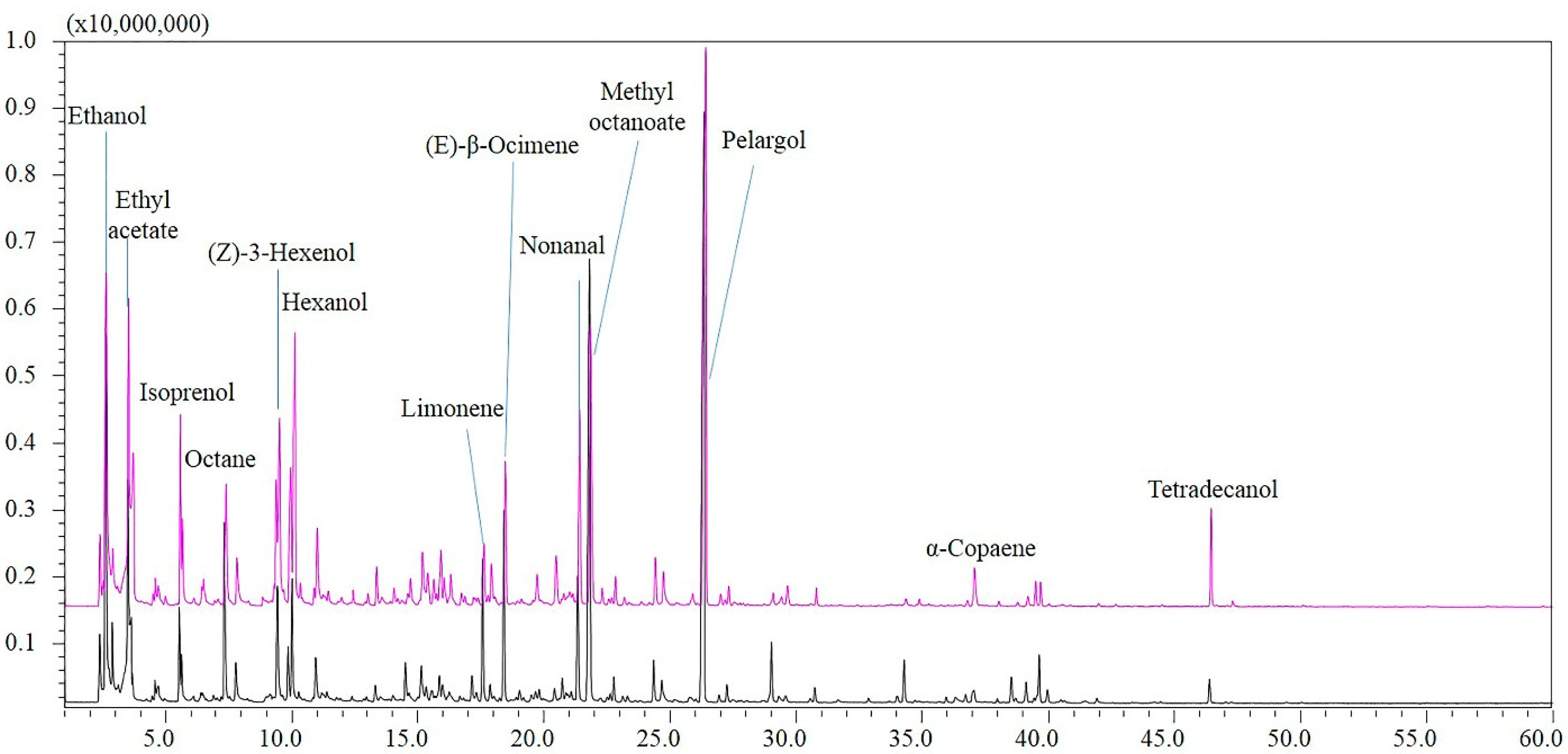 Horticulturae 08 00925 g001