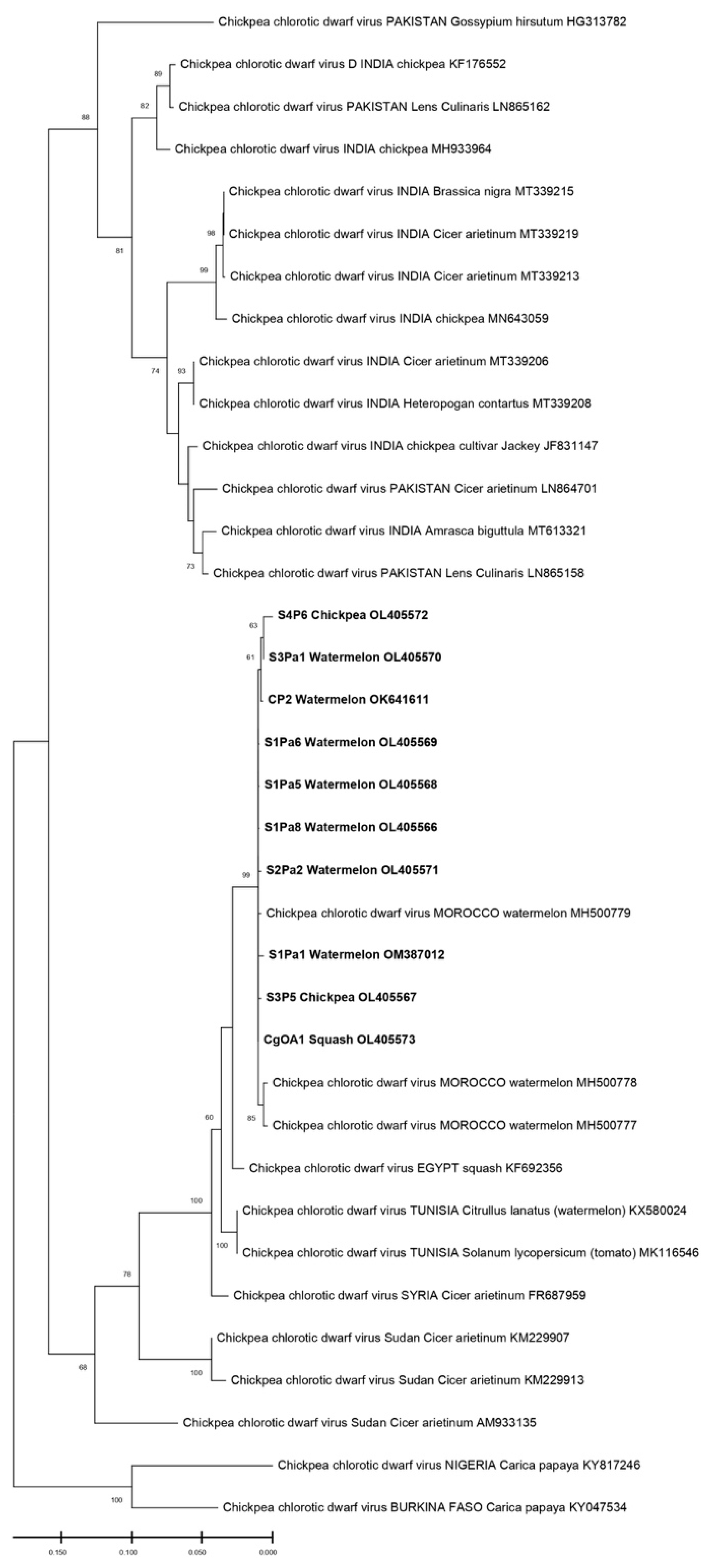 Horticulturae 08 00927 g004
