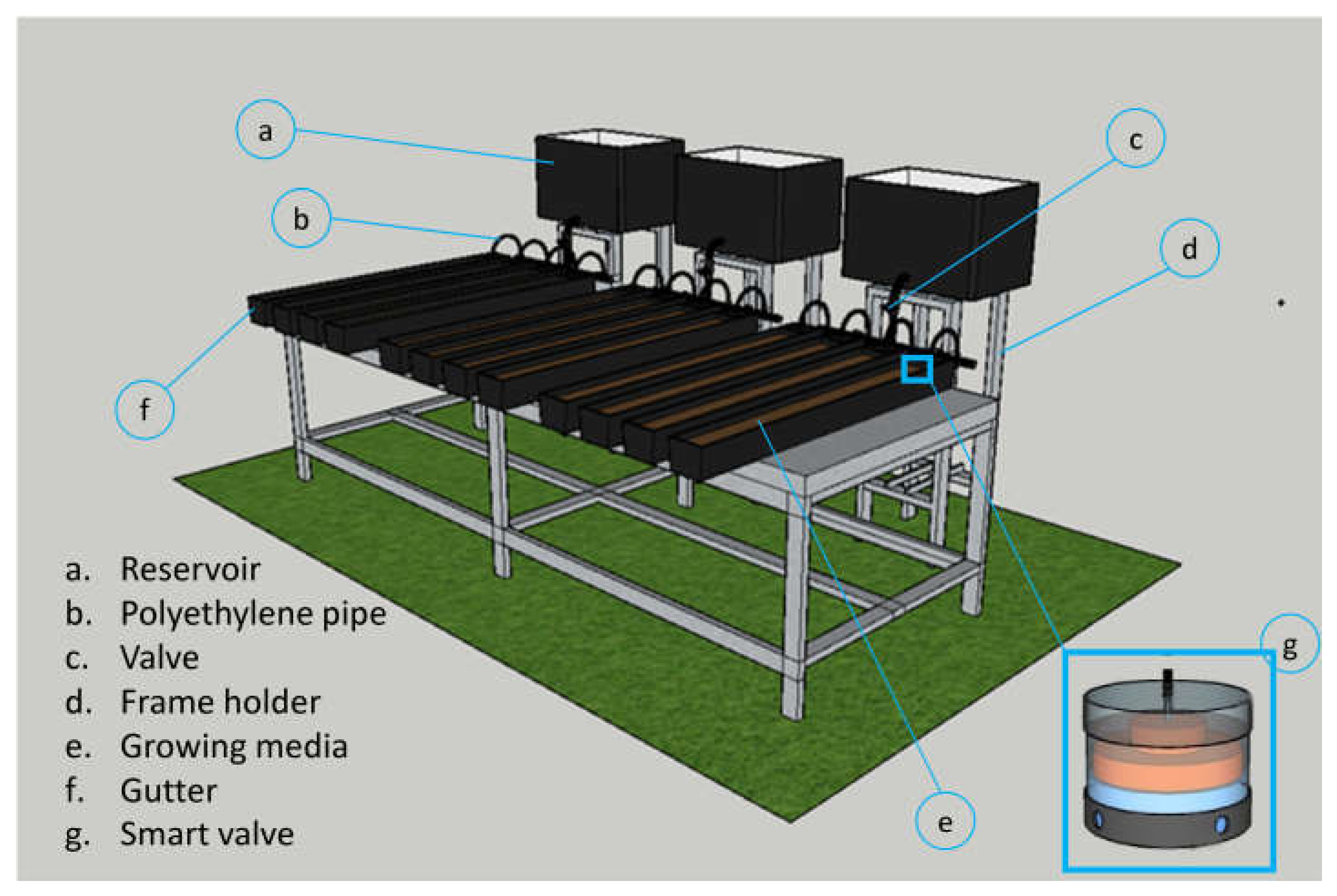 Horticulturae 08 00948 g003 Horticulturae 08 00948 g003