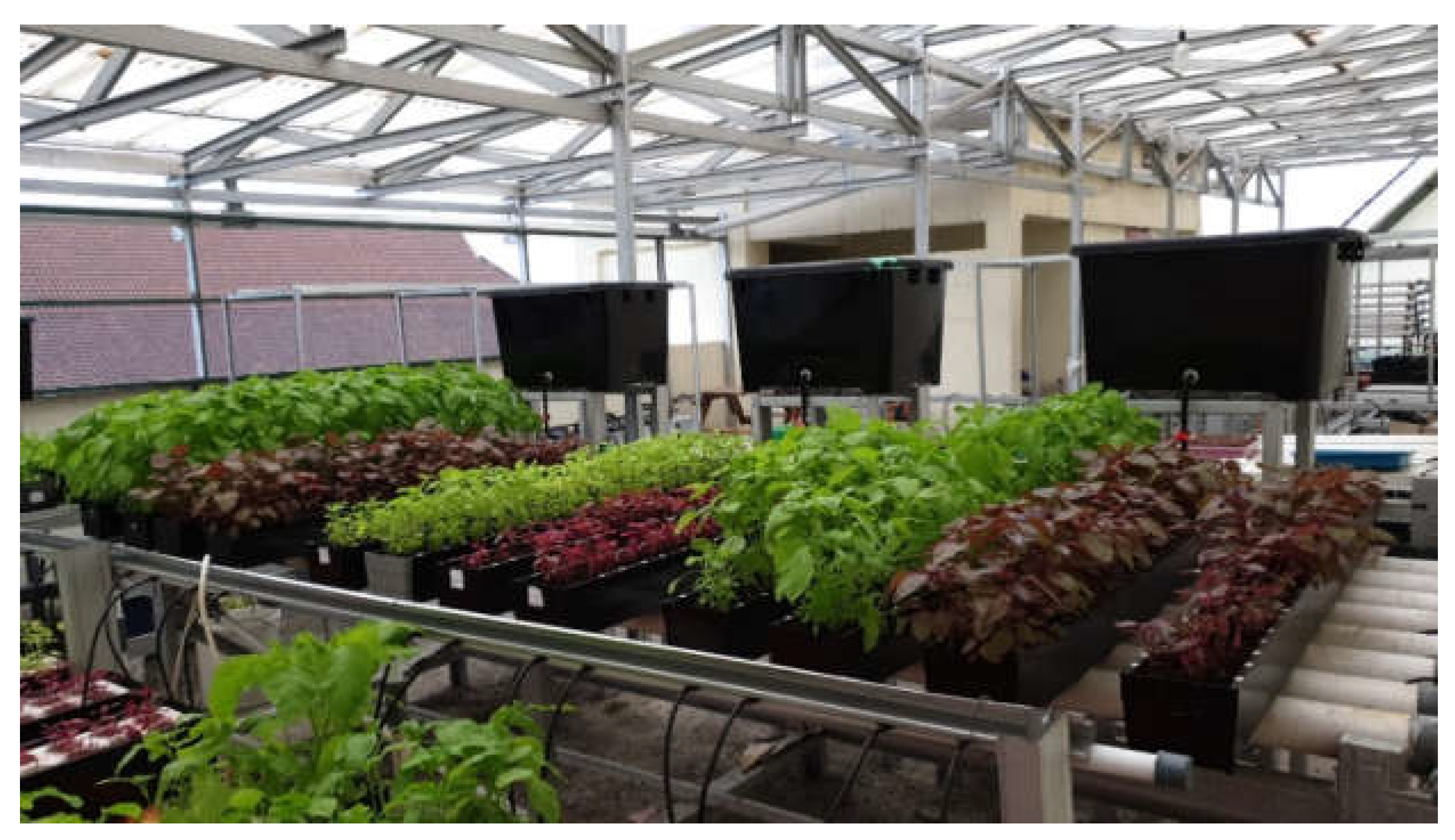 Horticulturae 08 00948 g006 Horticulturae 08 00948 g006