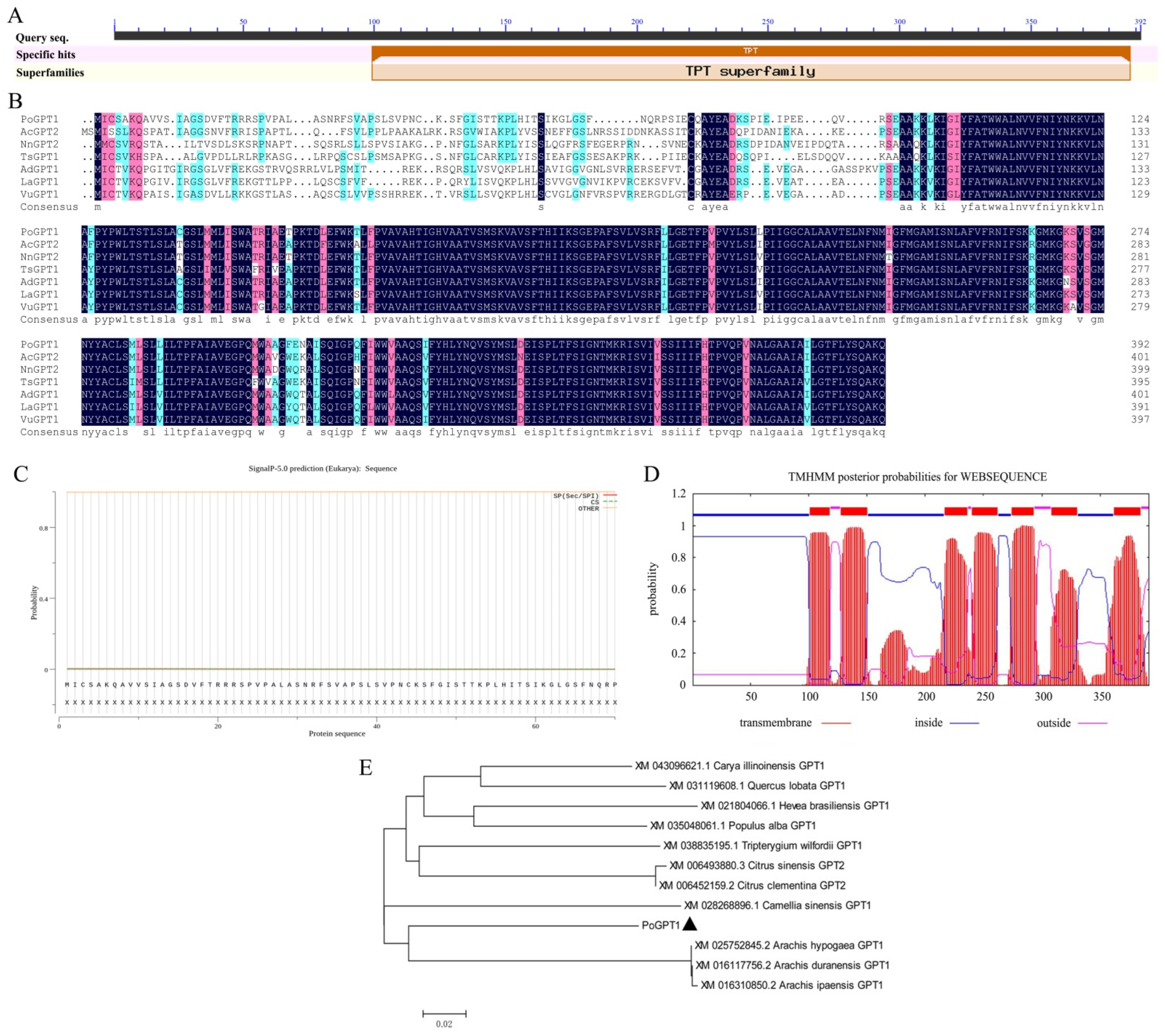 Horticulturae 08 00957 g002