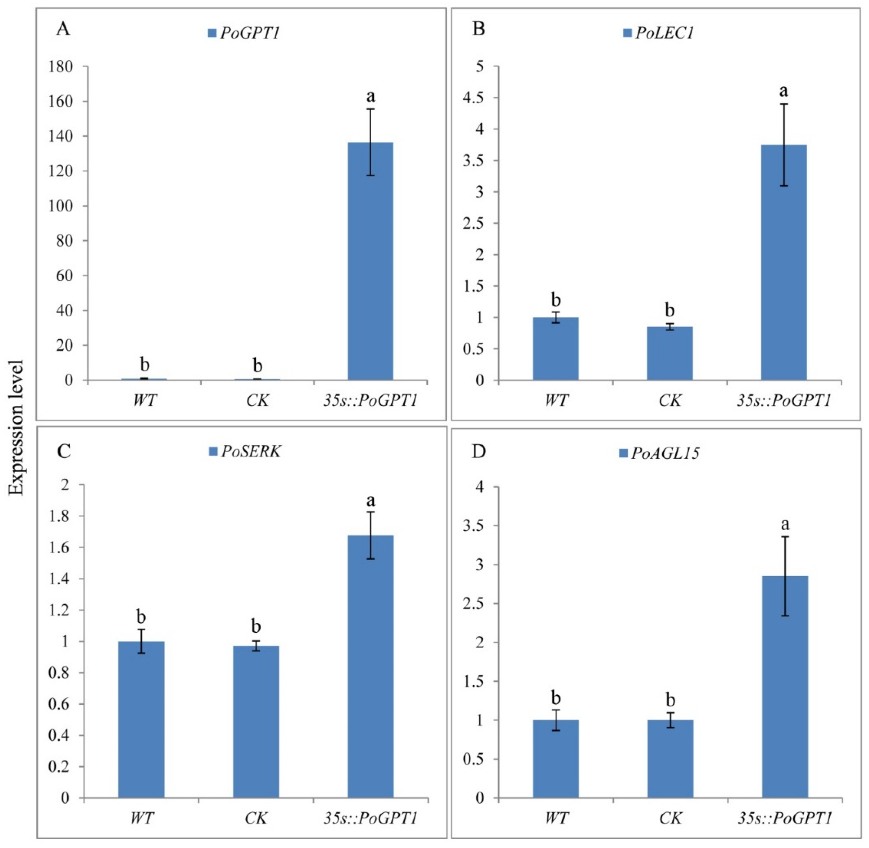 Horticulturae 08 00957 g005