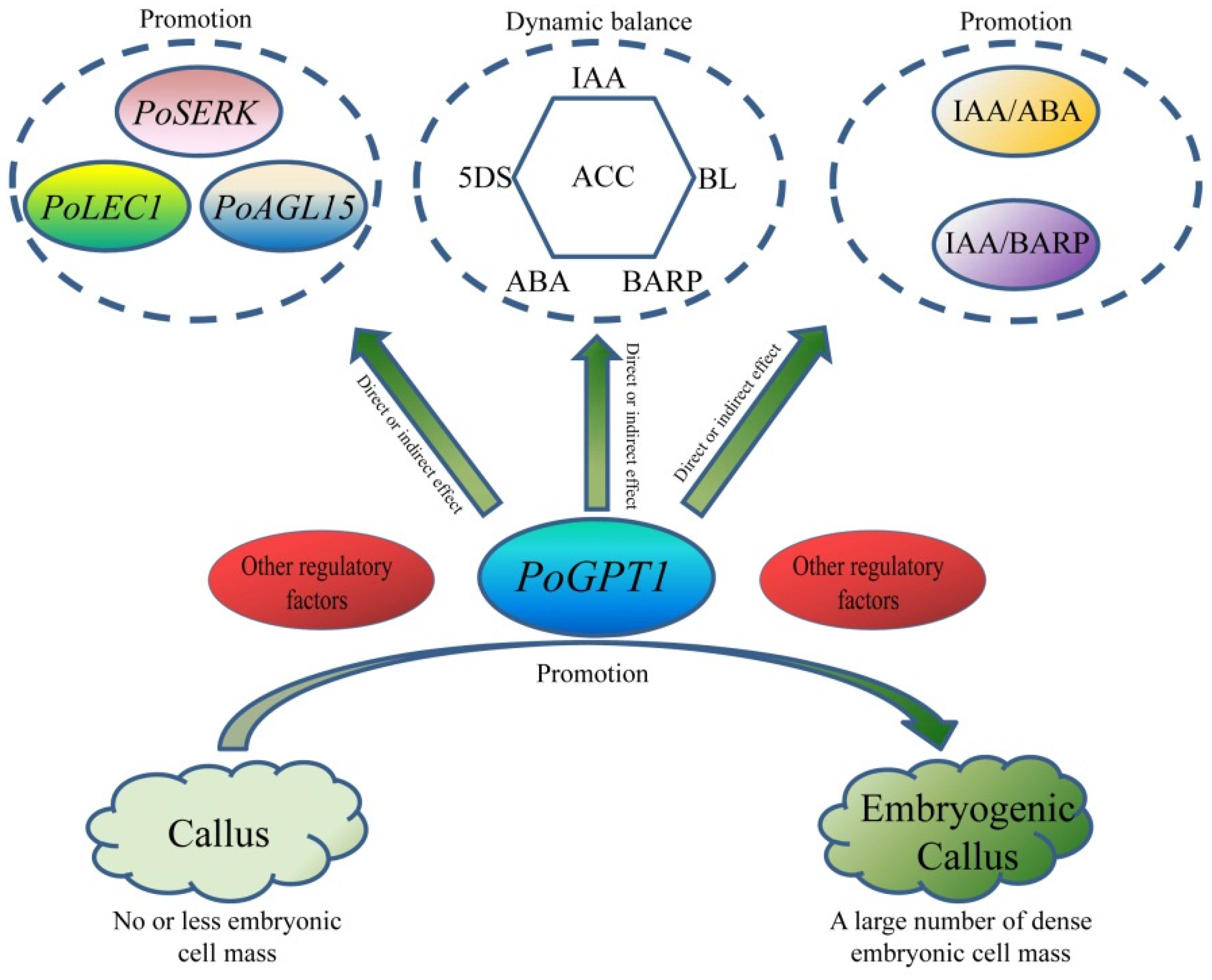 Horticulturae 08 00957 g009